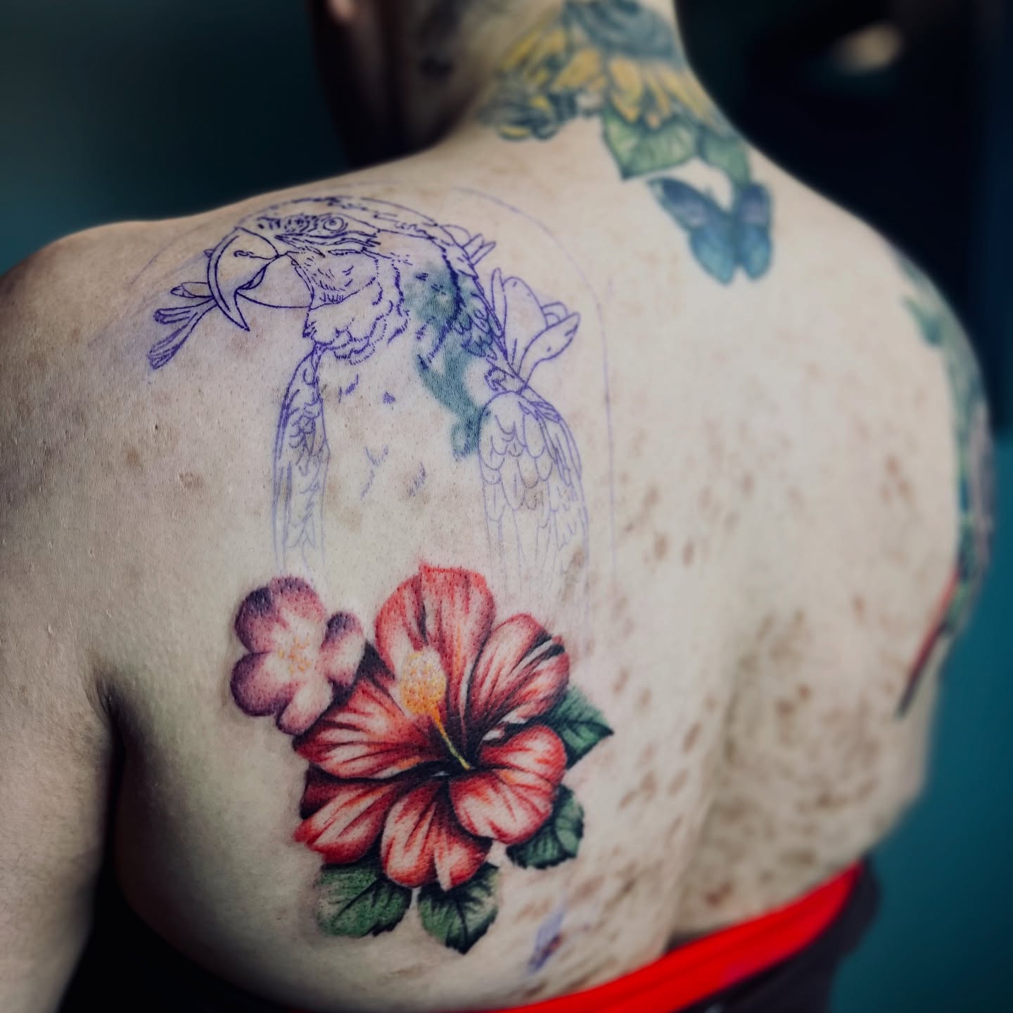 Parrot and hibiscus American traditional tattoo on the back by Sydney Rose