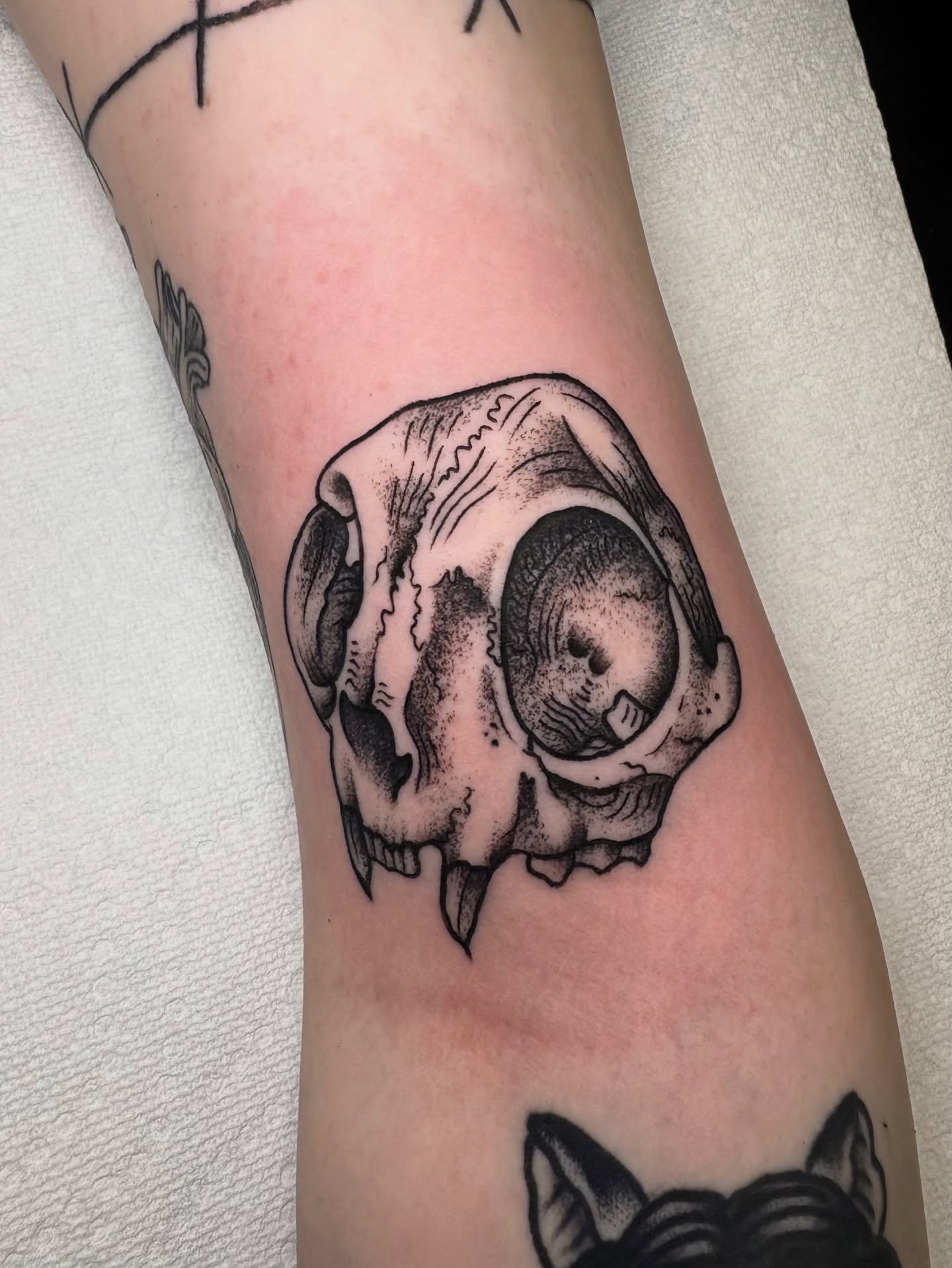 Skull dotwork tattoo on the forearm by Flor, Dallas, Texas