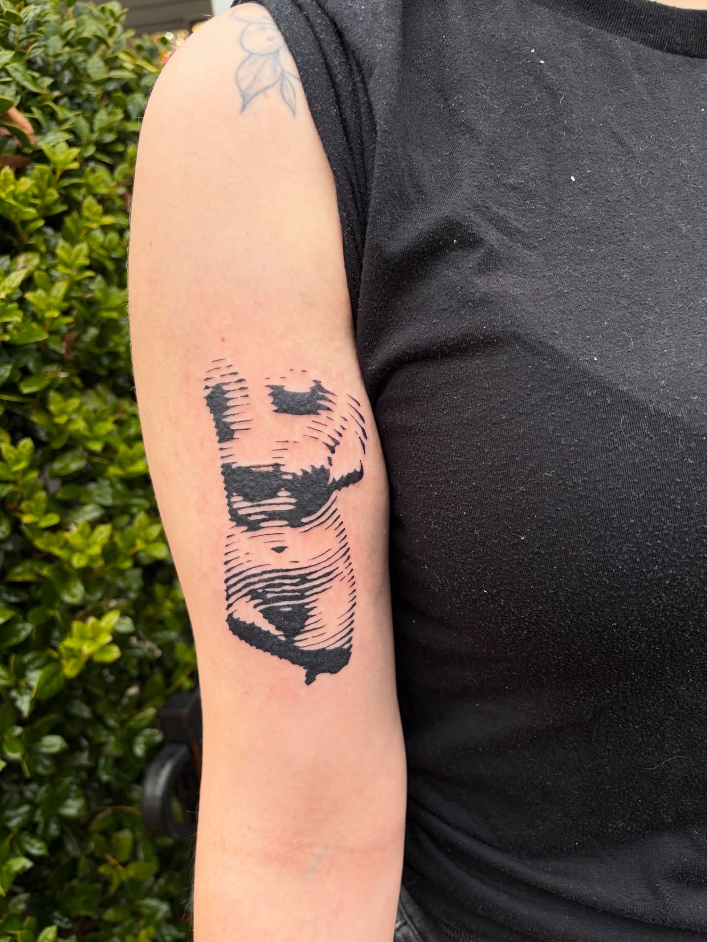 Bear black and grey tattoo on the forearm by Rose DeLisse