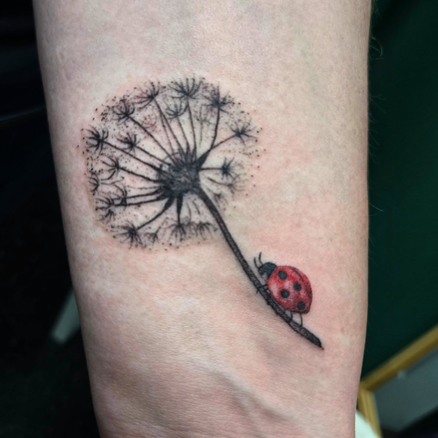 Tattoo by @robinmatztattoos โ dotwork, realism