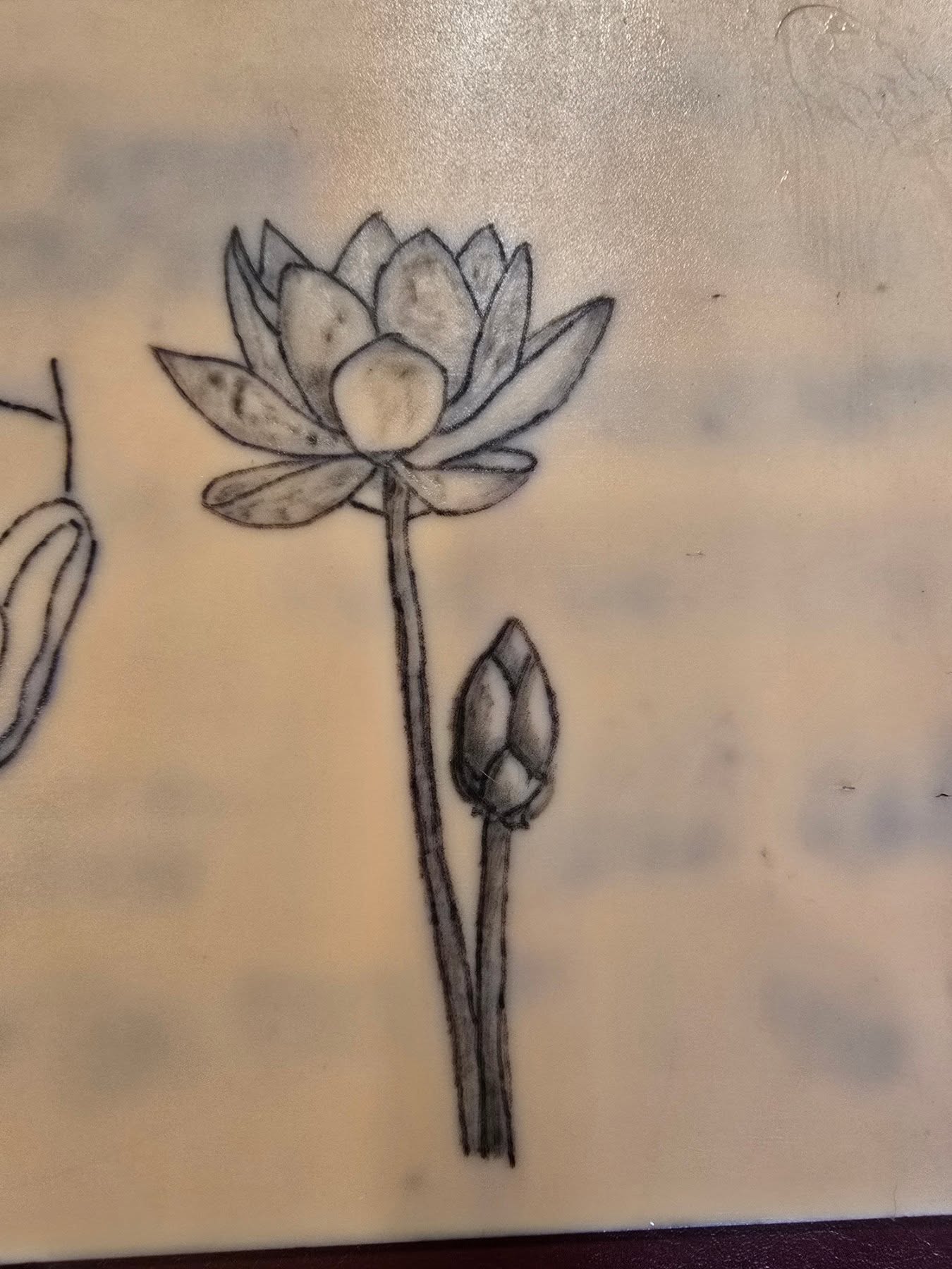 Lotus flower black and grey tattoo by Catherine B