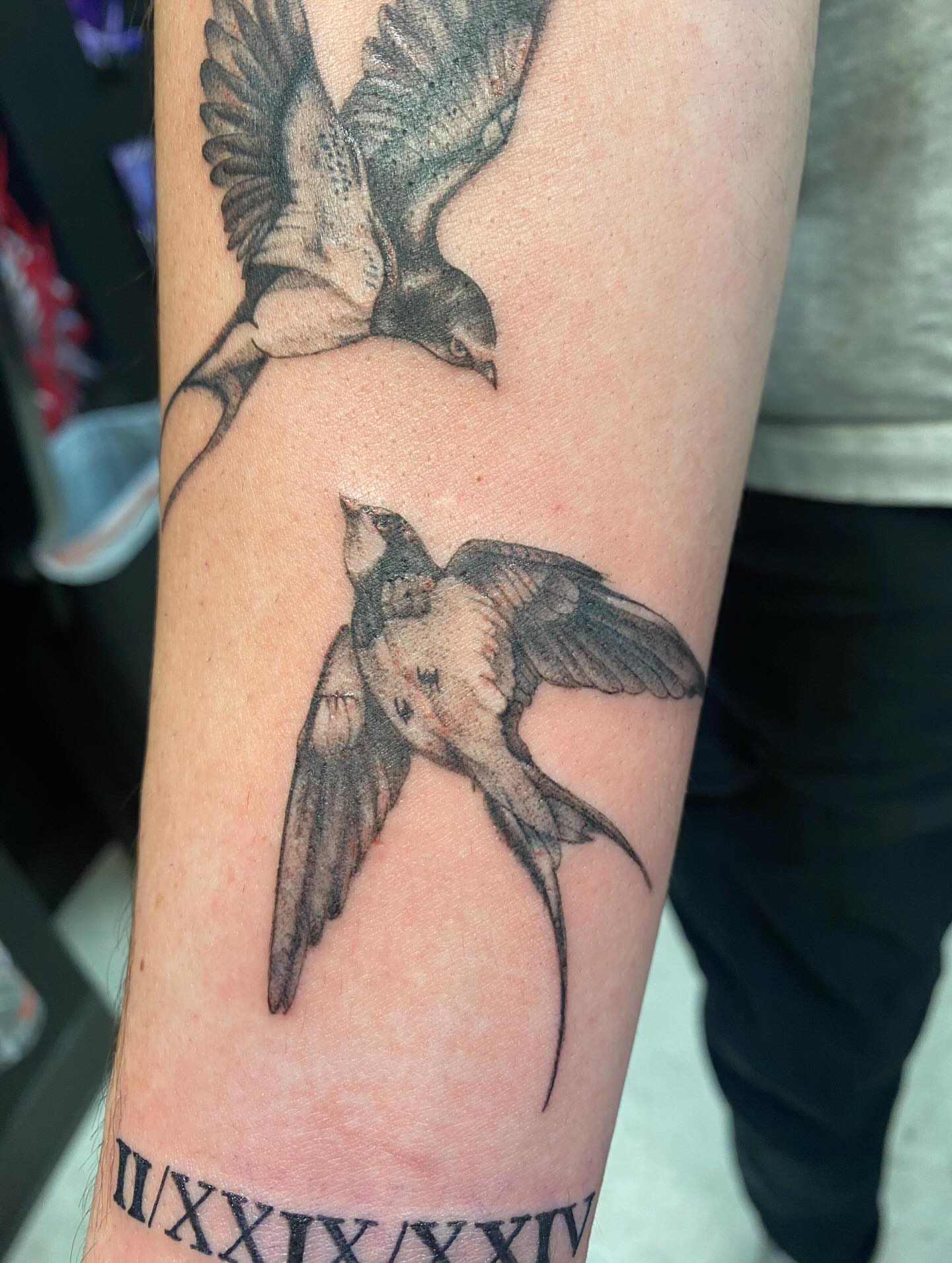 Swallows realism tattoo on the forearm by Drew