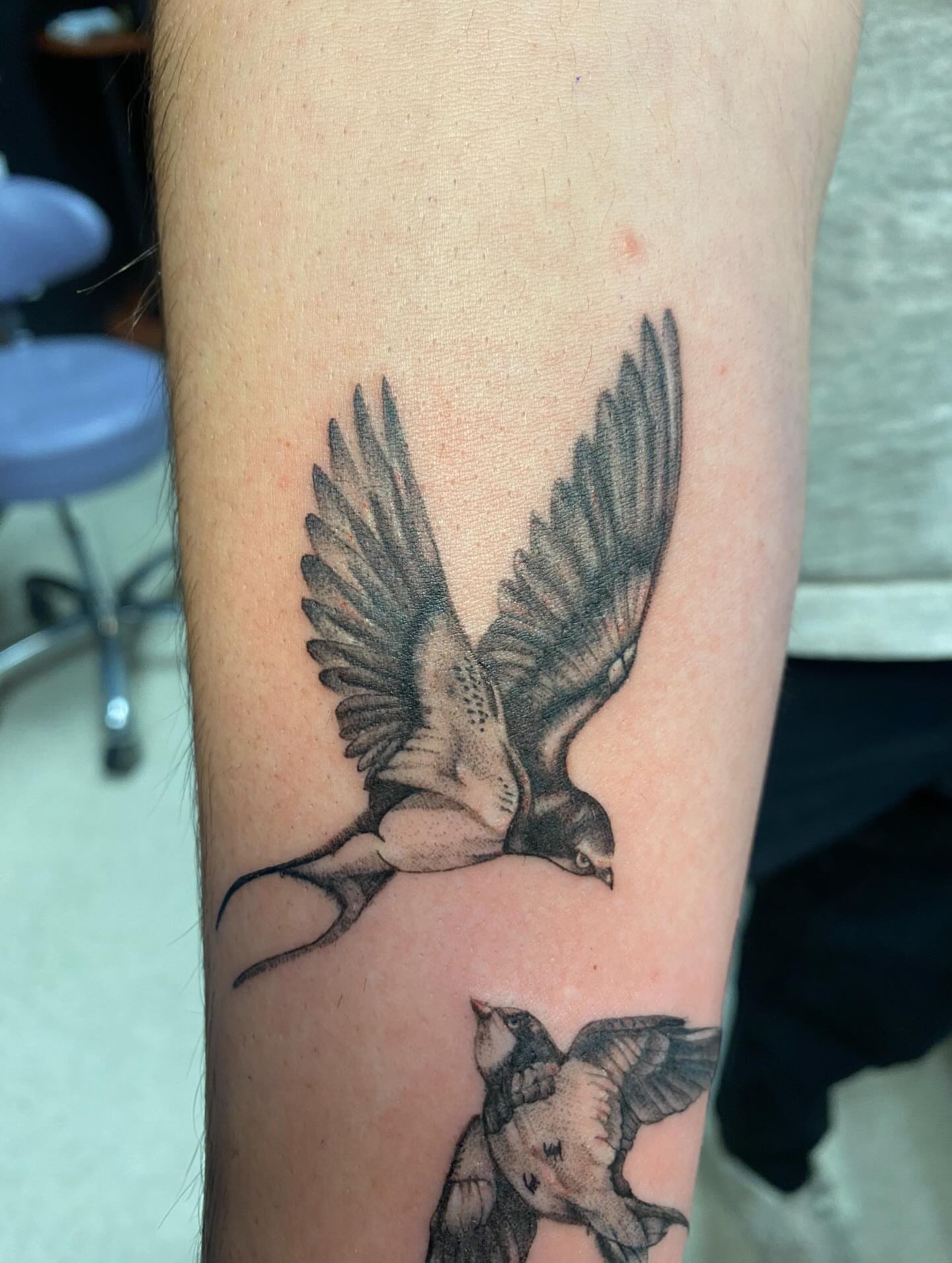 Swallow realism tattoo on the forearm by Drew