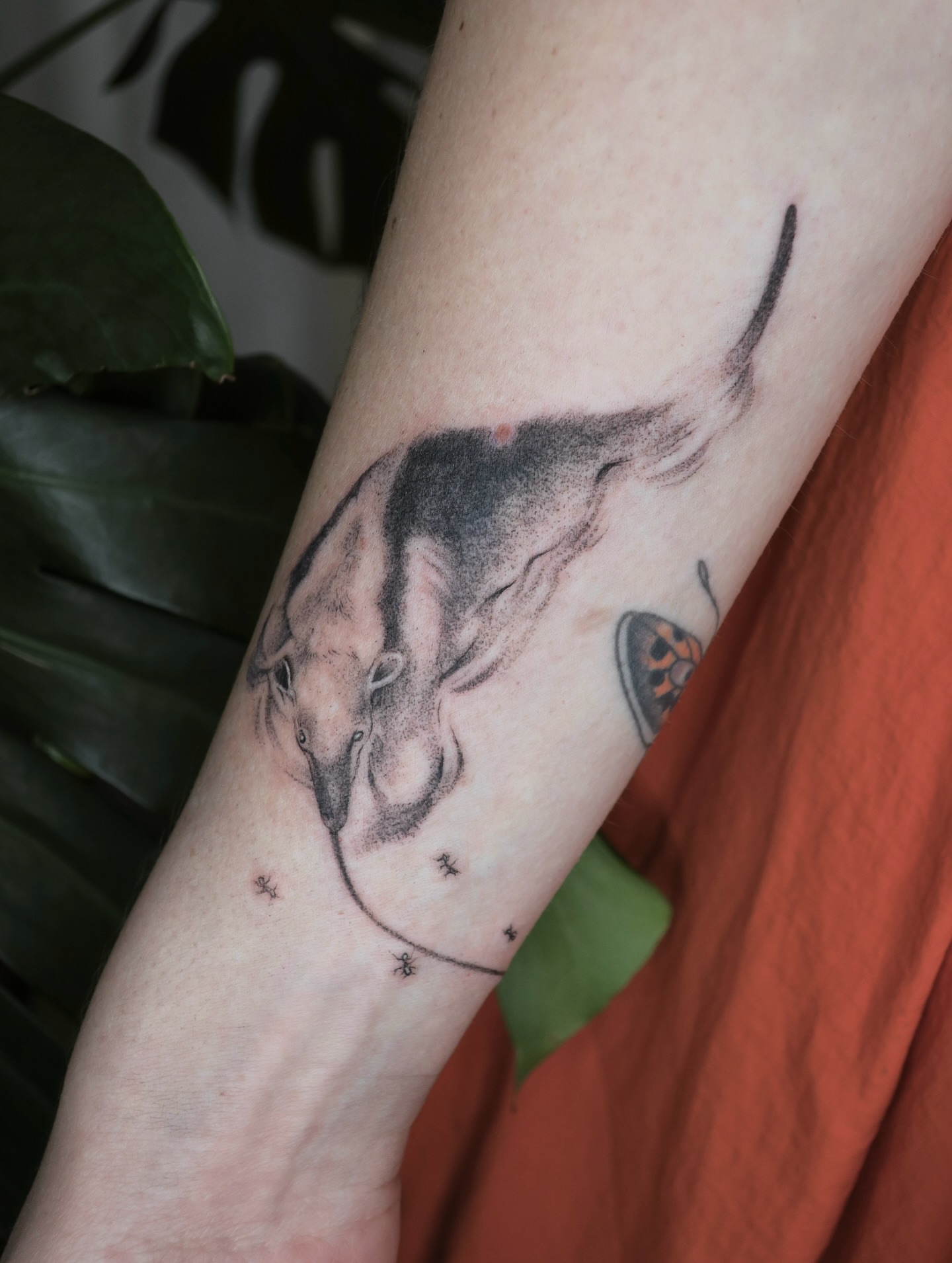 Tattoo by @cowgurl_bebop — black_and_grey