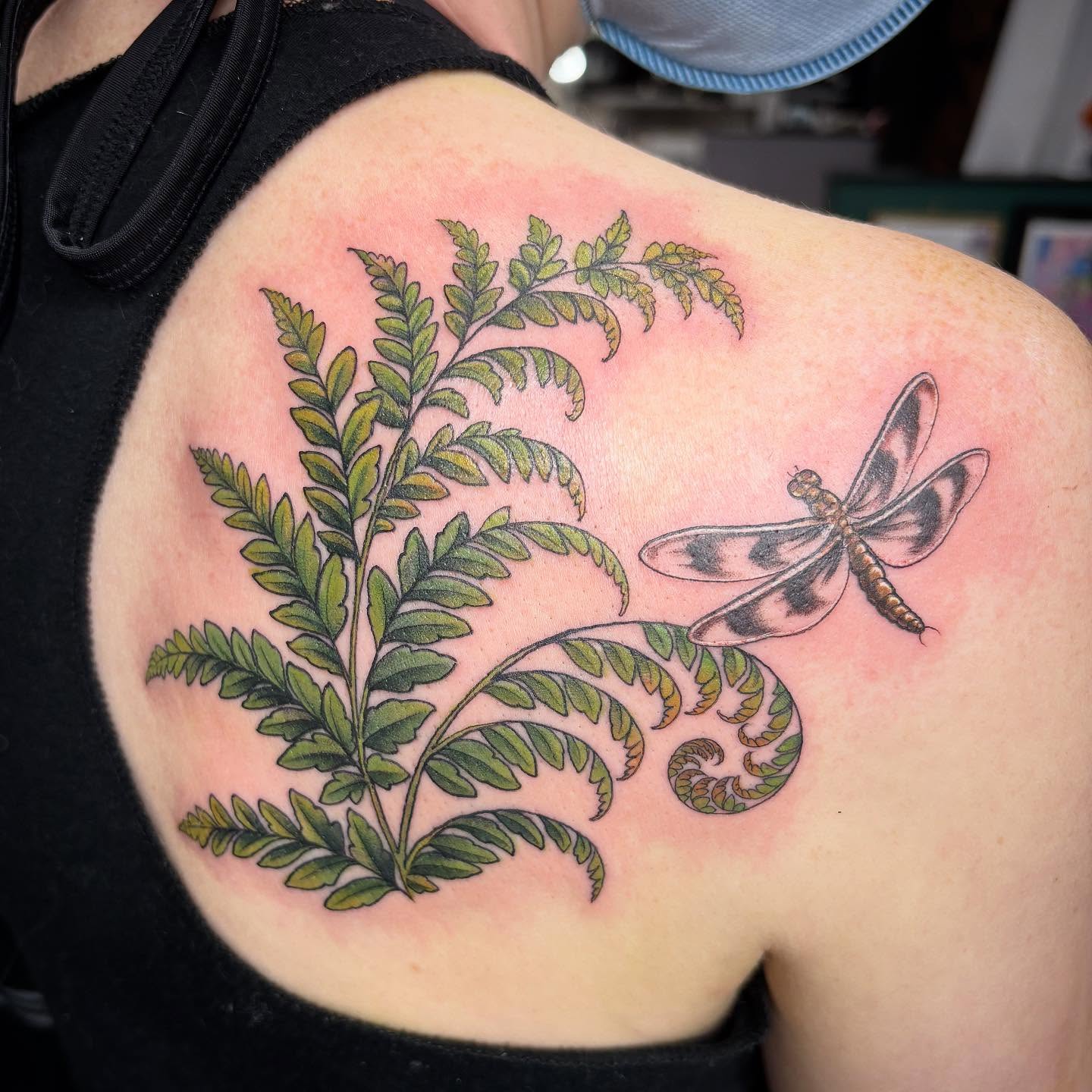 Fern and dragonfly realism tattoo on the shoulder by Lu Taylor, Minneapolis, Minnesota