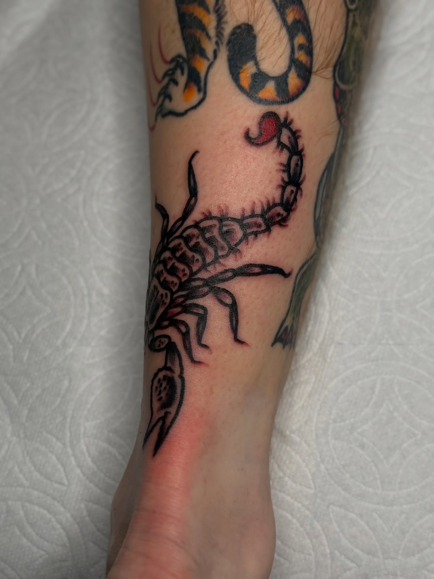 Scorpion American traditional tattoo on the forearm by Clayton - TRADITIONAL TATTOOS