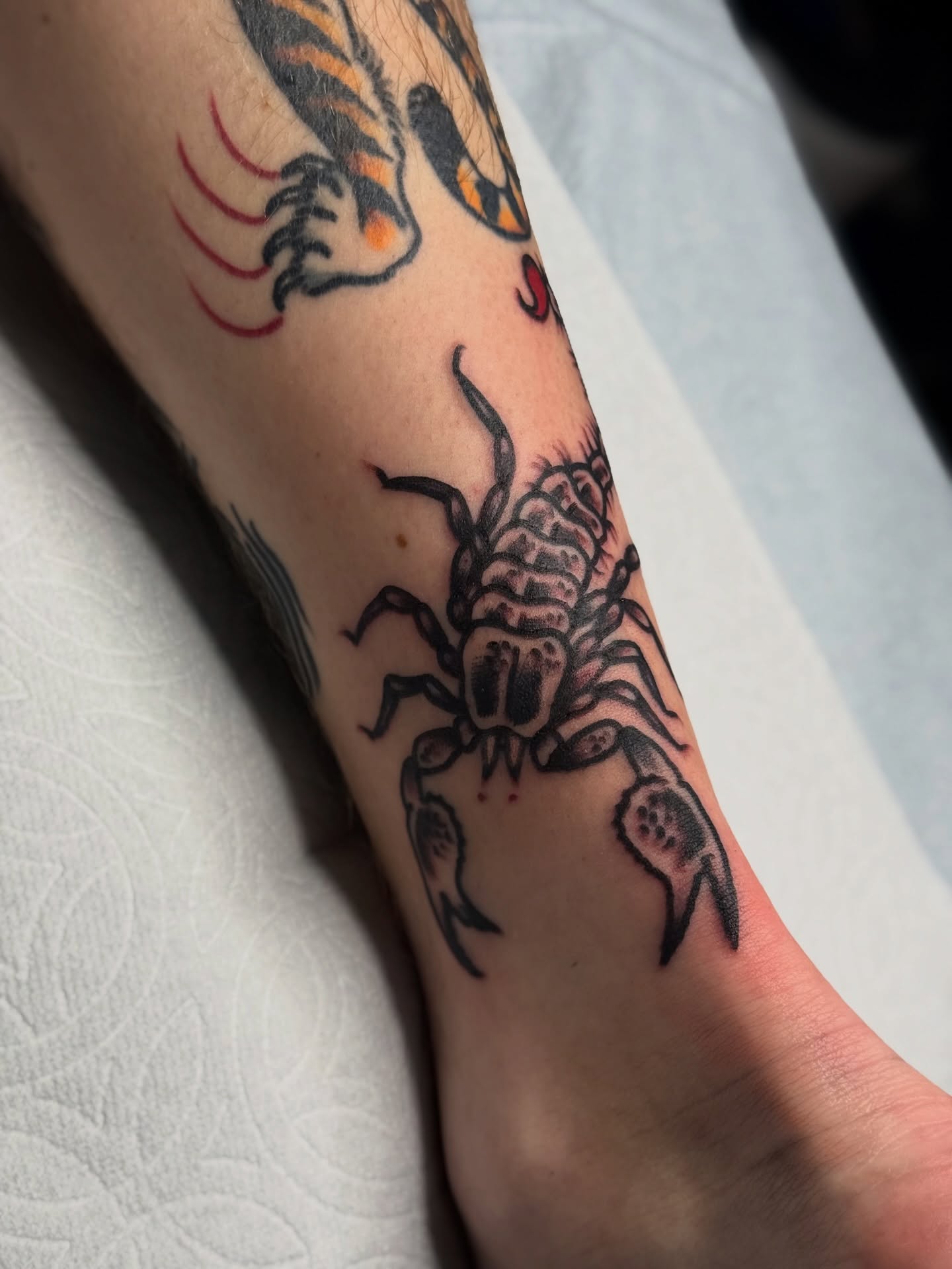 Scorpion black and grey tattoo on the forearm by Clayton - TRADITIONAL TATTOOS