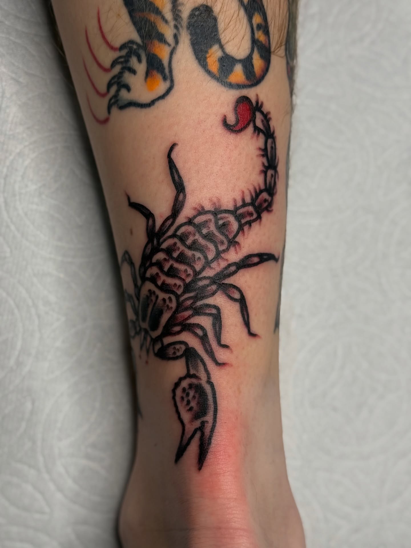 Scorpion black and grey tattoo on the forearm by Clayton - TRADITIONAL TATTOOS