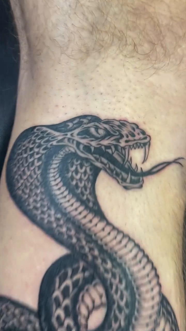 Cobra tattoo American traditional tattoo on the upper arm by Brayden P Tattoo