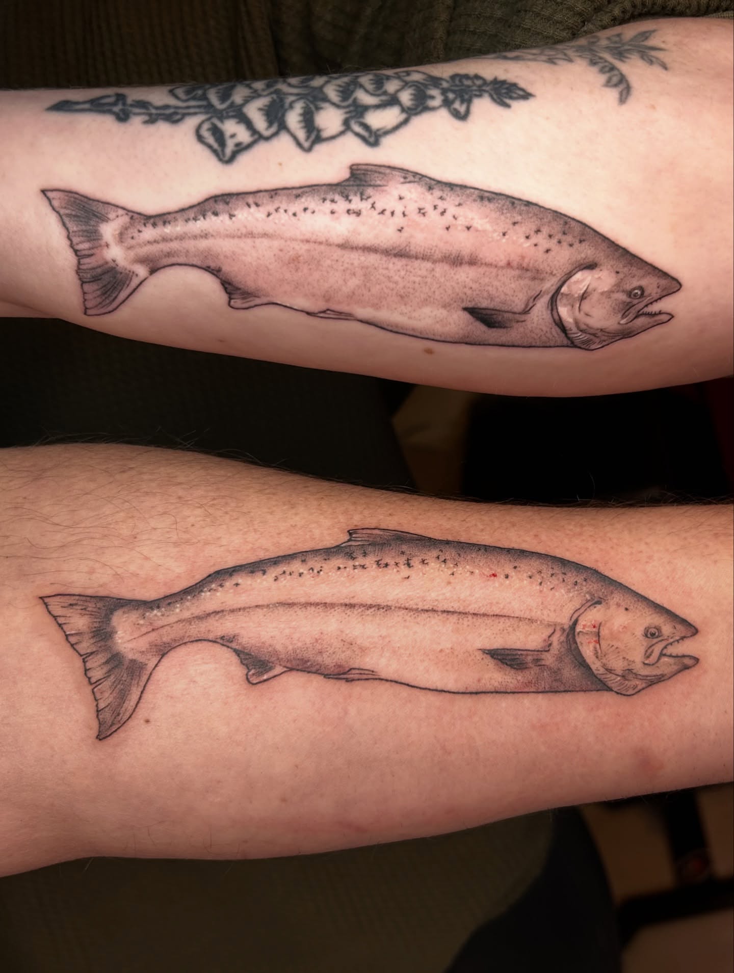 Salmon realism tattoo on the forearm by King By Trade 👑
