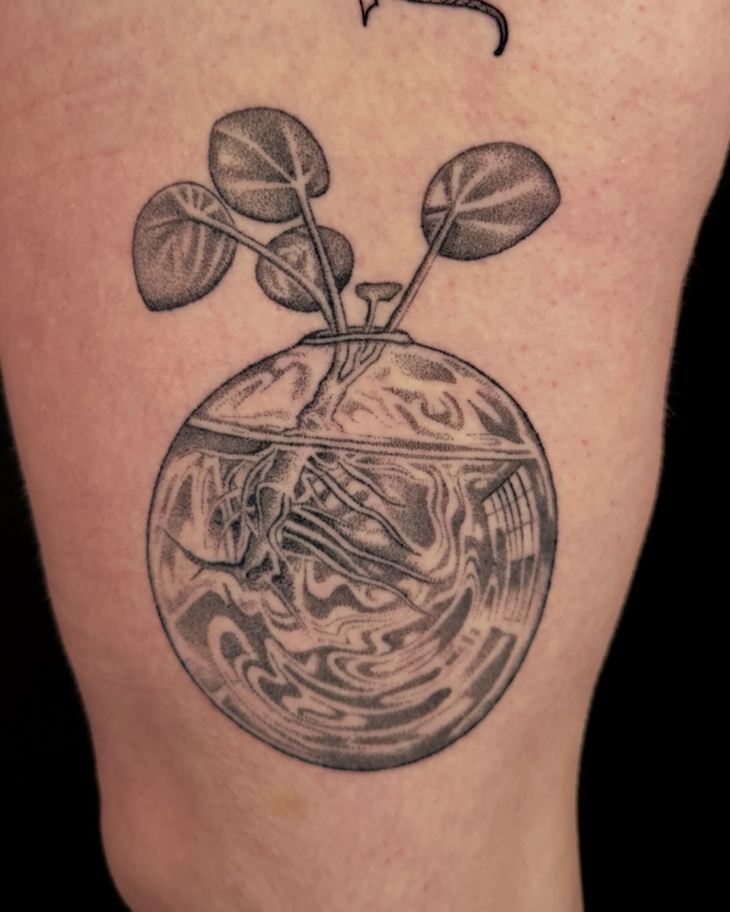 Fishbowl with plant dotwork tattoo on the thigh by Chelsey