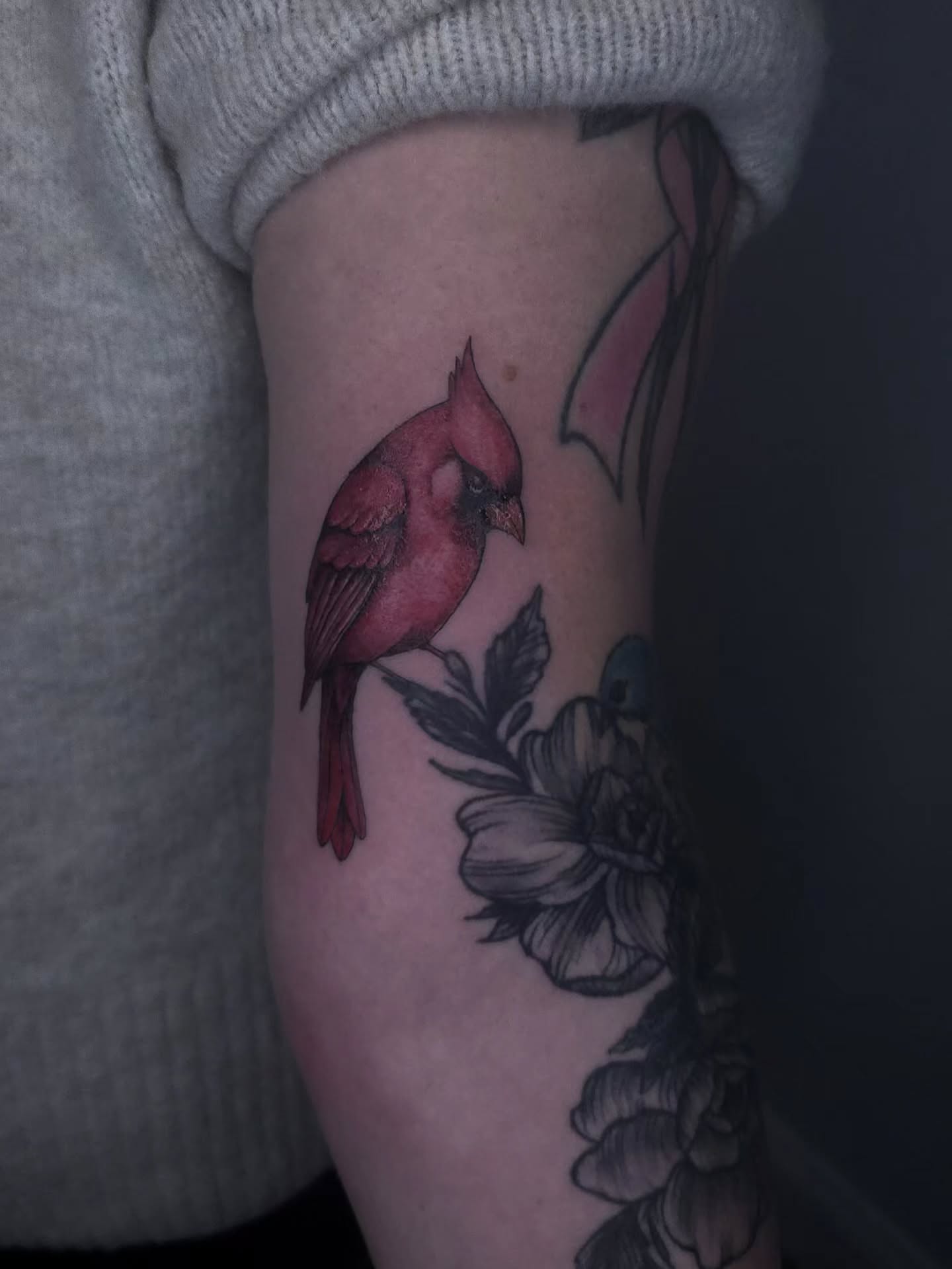 Cardinal bird realism tattoo on the forearm by Viktoriia ▪︎ Tattoo ▪︎ Chicago ▪︎ Naperville