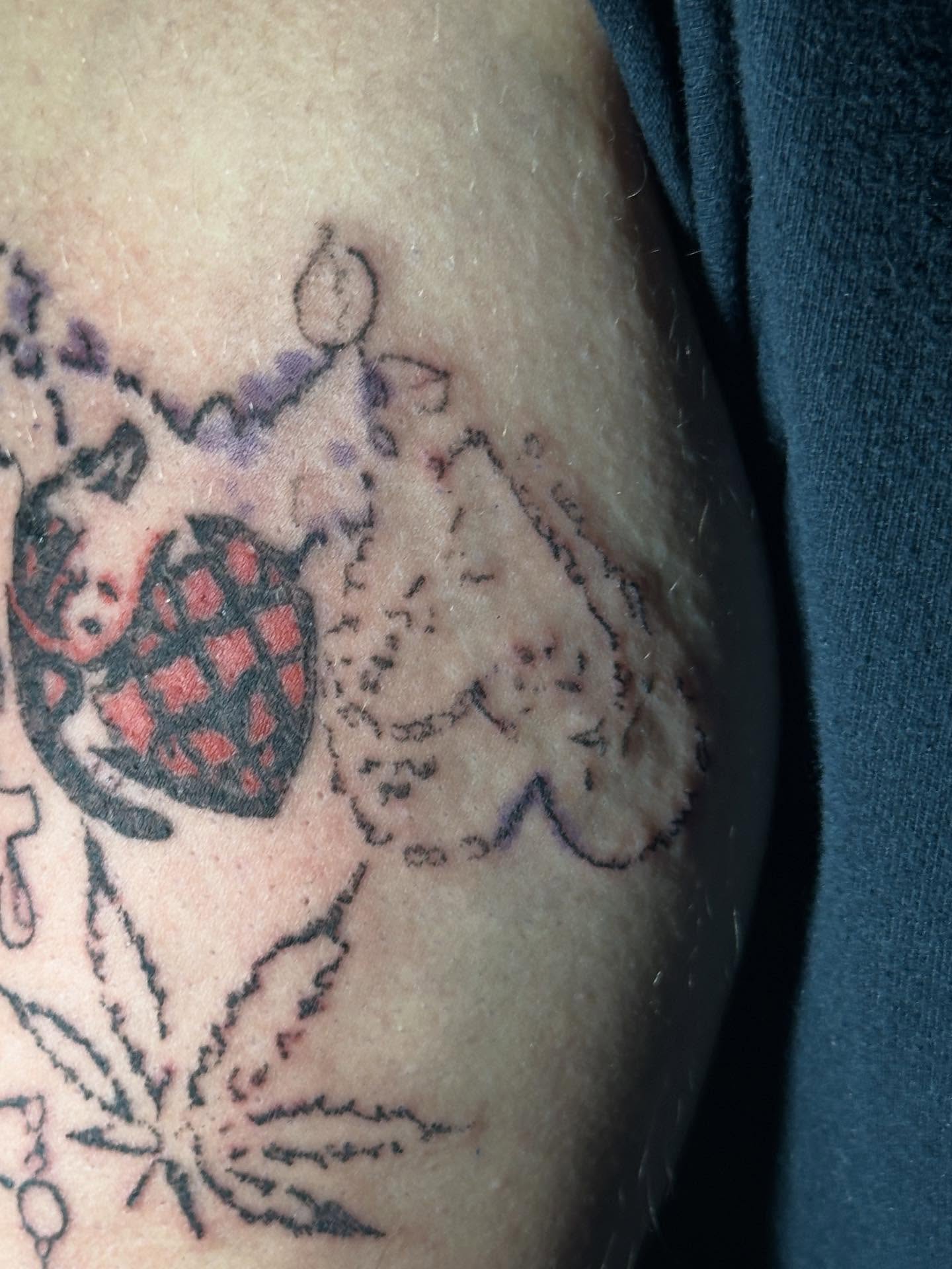 Turtle and cannabis leaf American traditional tattoo on the upper arm by Swag Originator