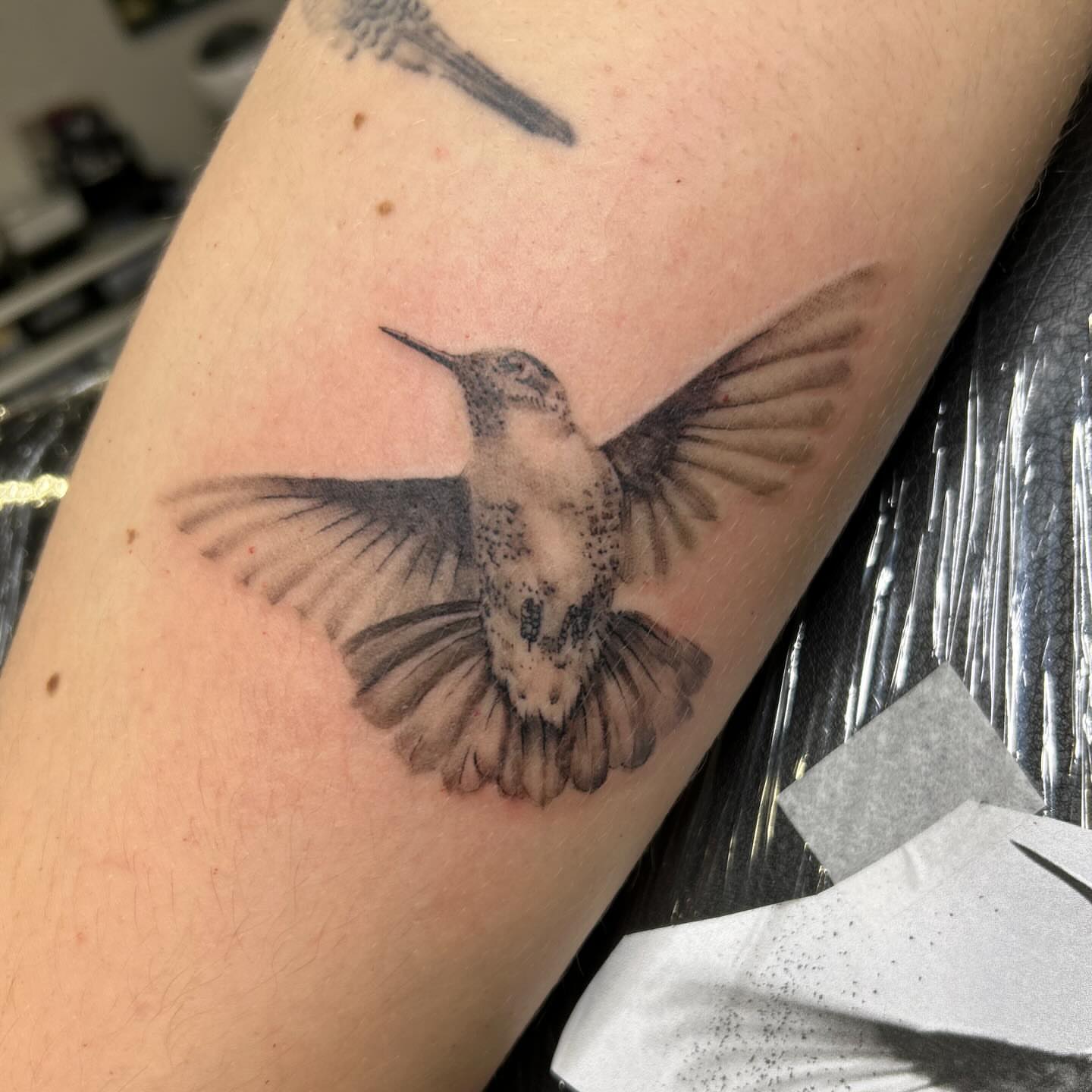 Hummingbird realism tattoo on the forearm by Jbtattoo Artistry