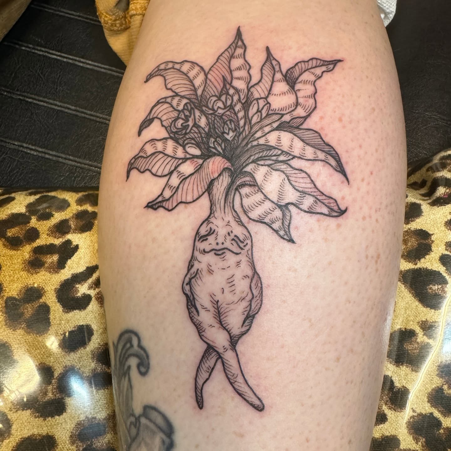 Flower and chili pepper black and grey tattoo on the thigh by Lora Bird