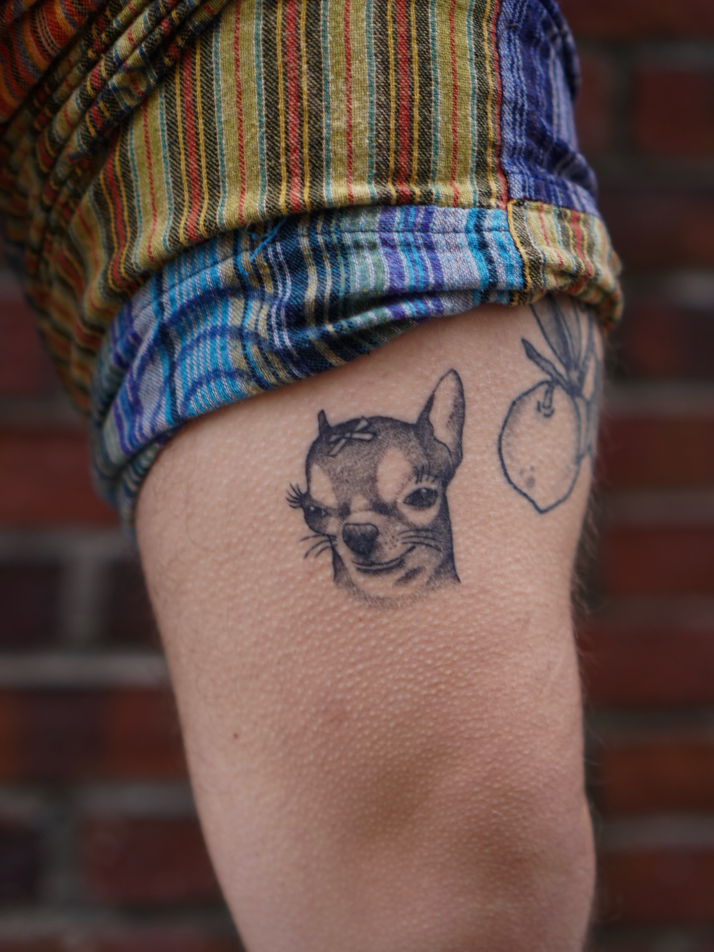 Chihuahua realism tattoo on the thigh by Carlos Abad
