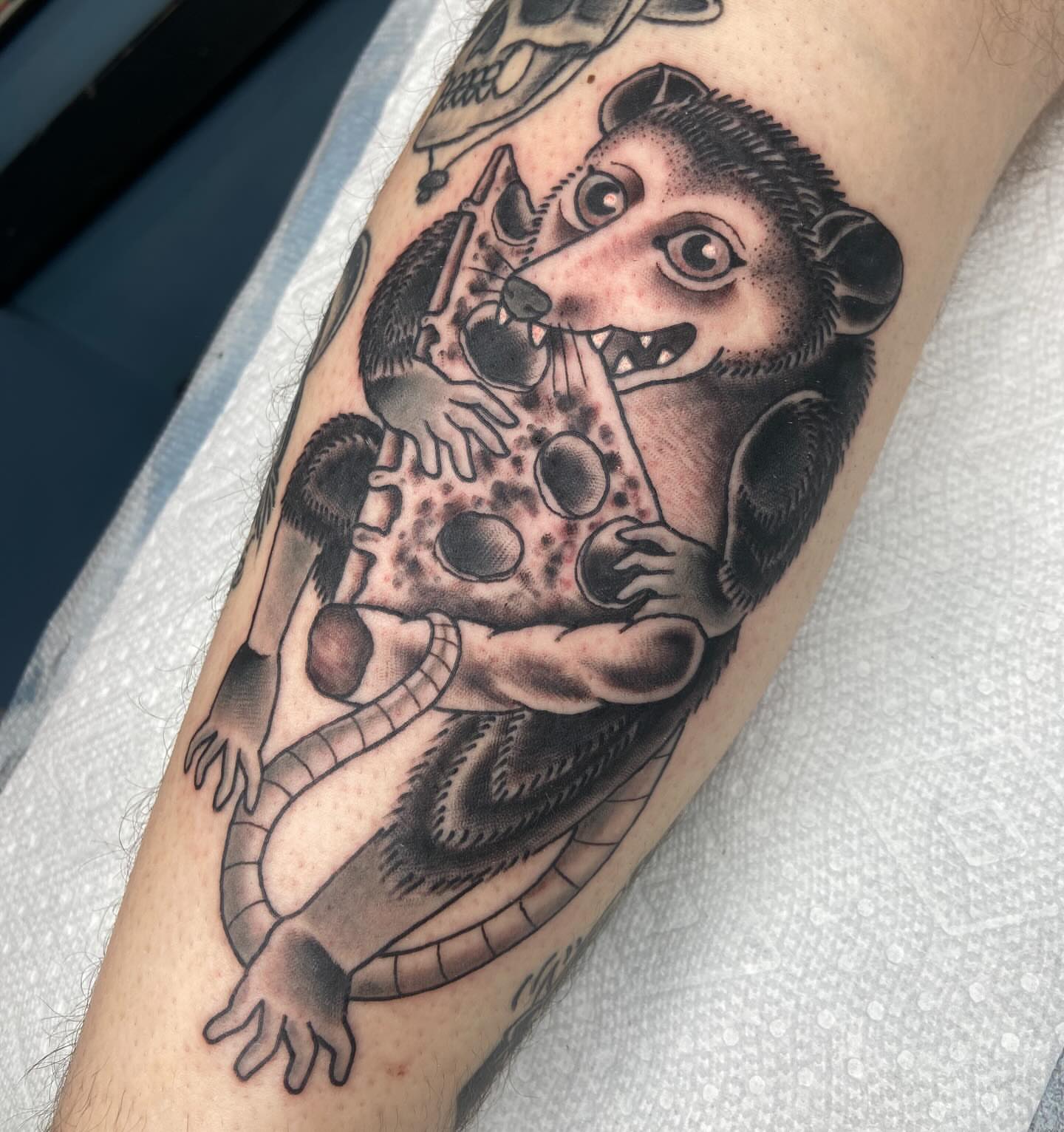 Badger American traditional tattoo on the forearm by nicholas mcevoy, Boston, Massachusetts