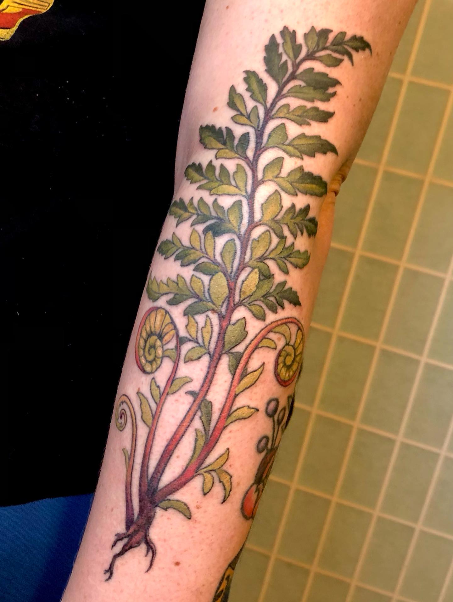 Fern and floral new school tattoo on the forearm by Leah Leinani
