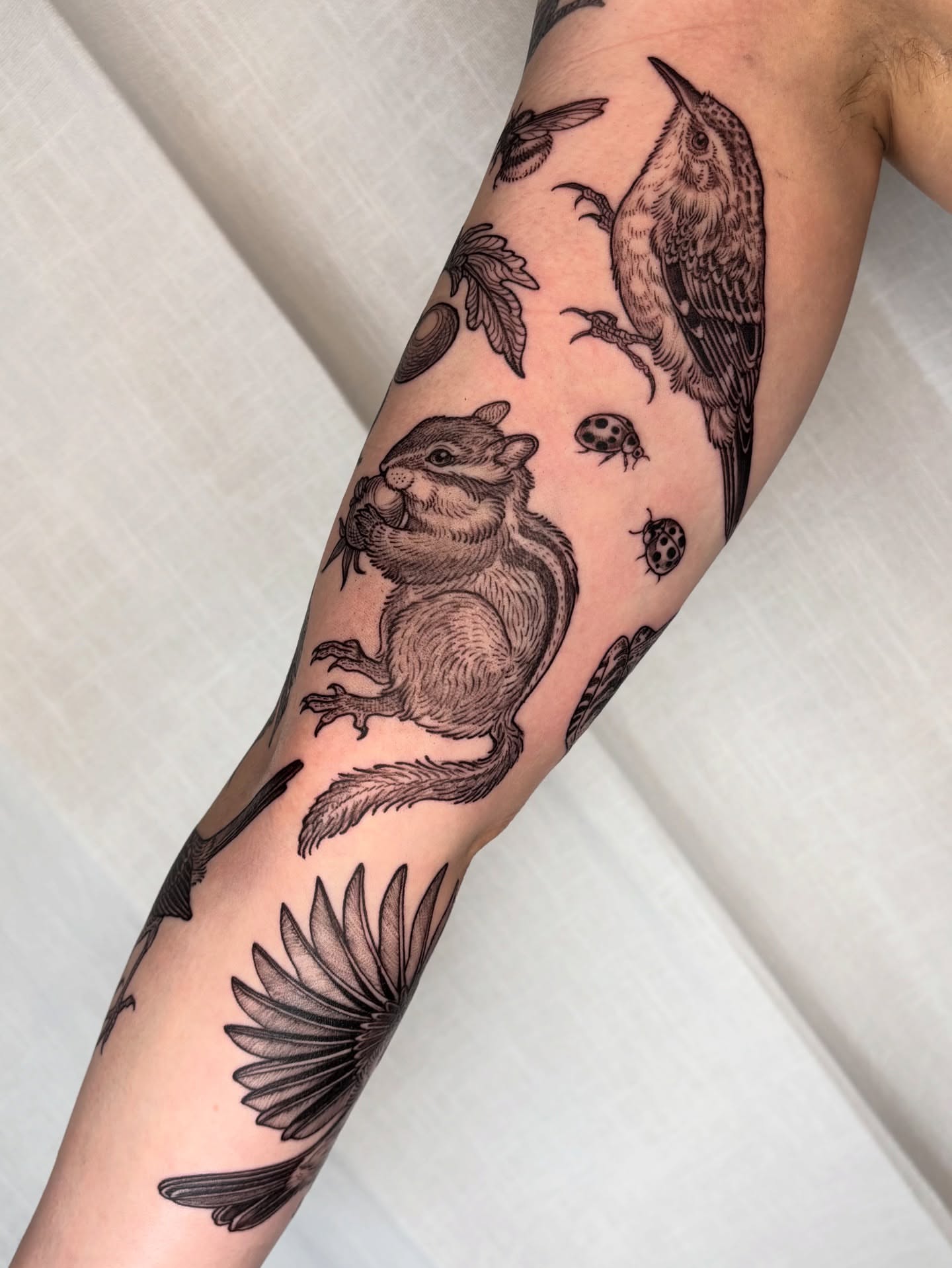 Squirrel and bird black and grey tattoo on the forearm by Maggie
