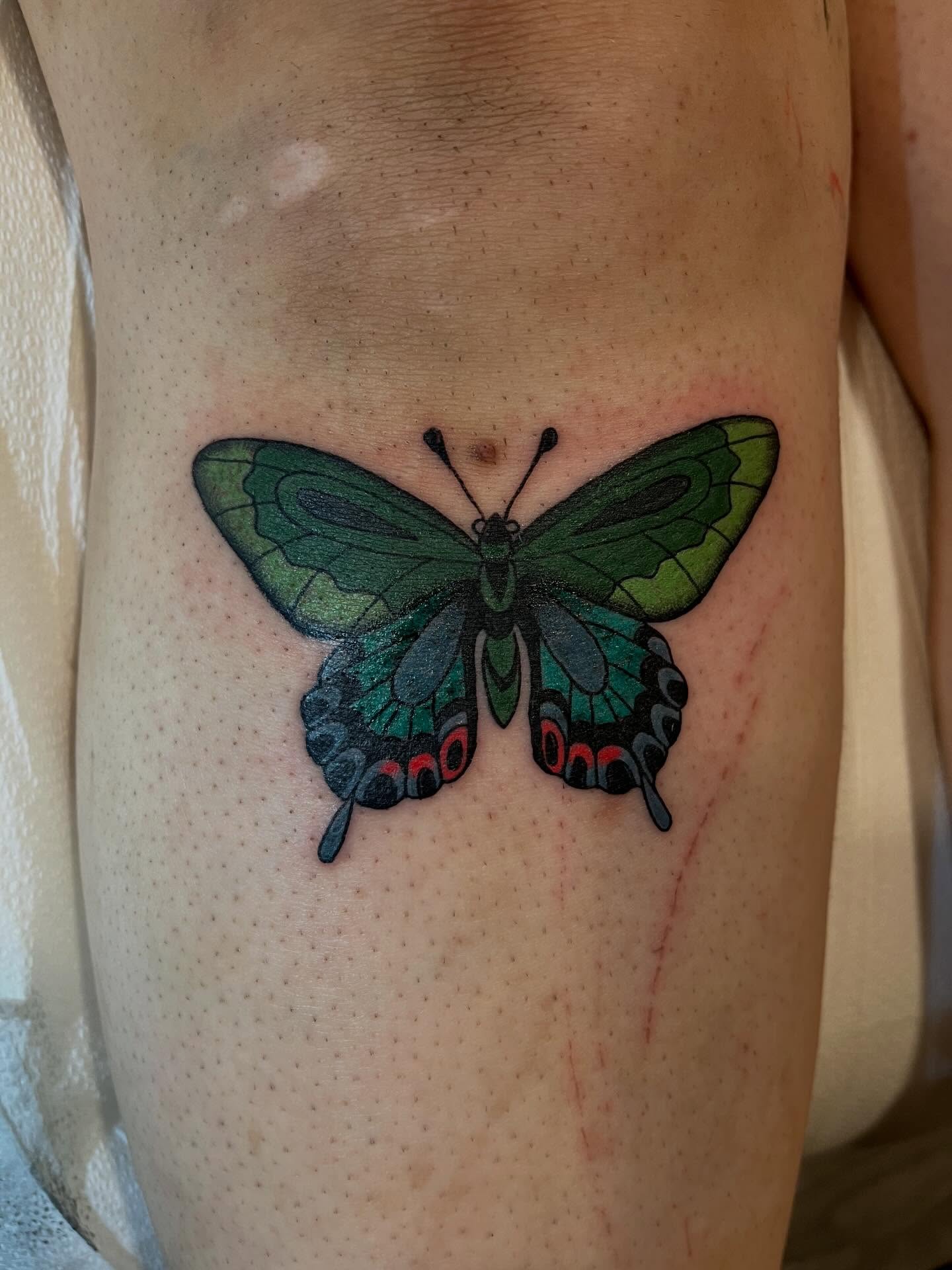 Butterfly realism tattoo on the thigh by P R O P H e T T R A V I S