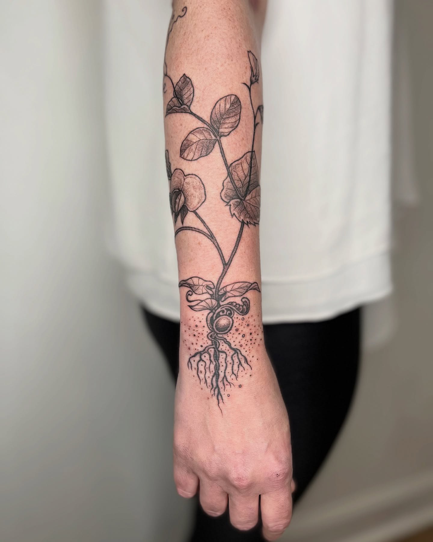 Tattoo by @siltyloamtattoo — dotwork, black_and_grey