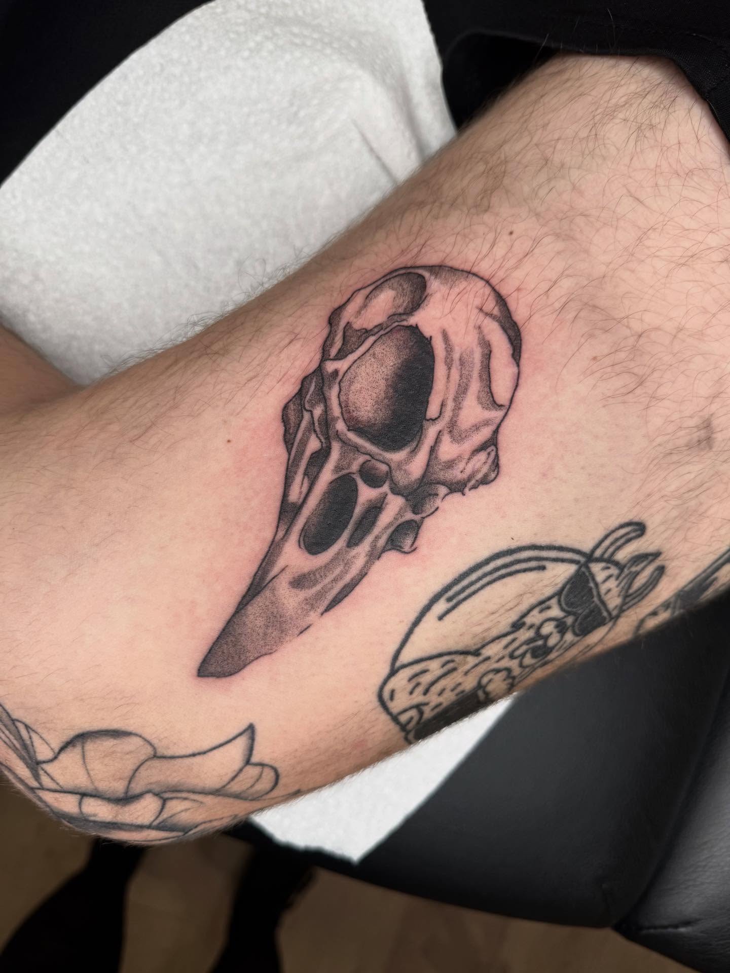 Bird skull black and grey tattoo on the forearm by Nat🫧