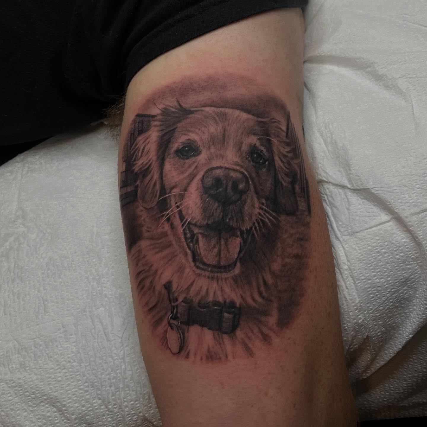 Dog realism tattoo on the forearm by Adam Habecker