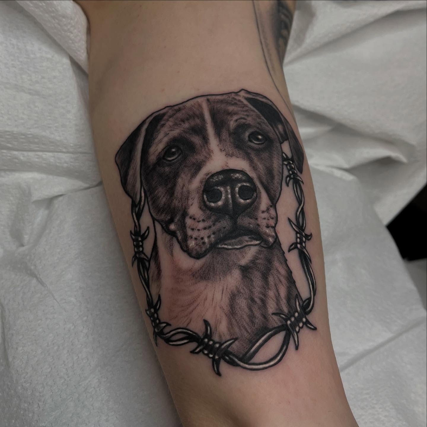 Dog portrait realism tattoo on the forearm by Adam Habecker