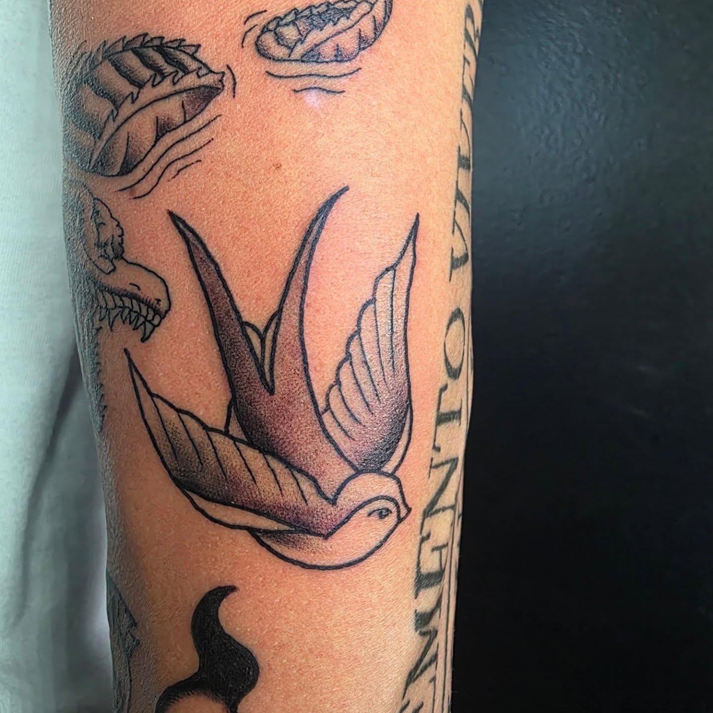 Swallow dotwork tattoo on the forearm by 𝕷𝖚𝖈𝖎𝖉