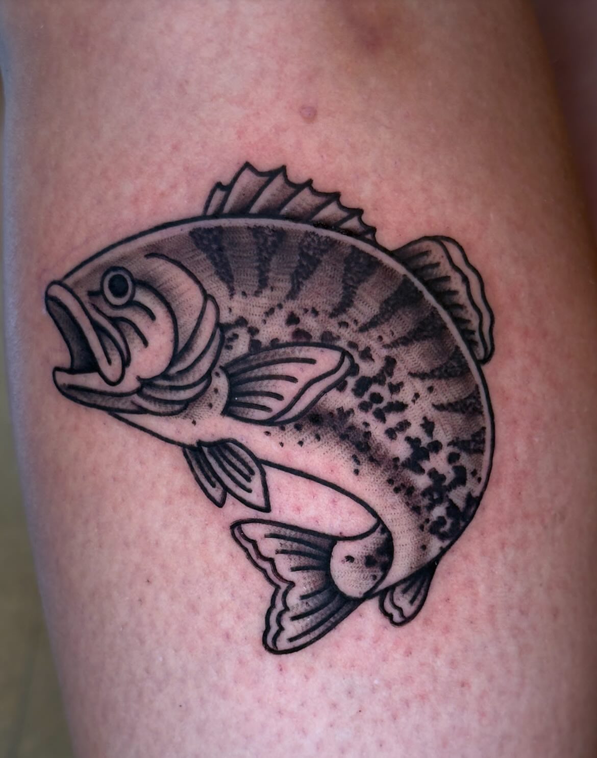 Striped bass black and grey tattoo on the thigh by Jessica Haug