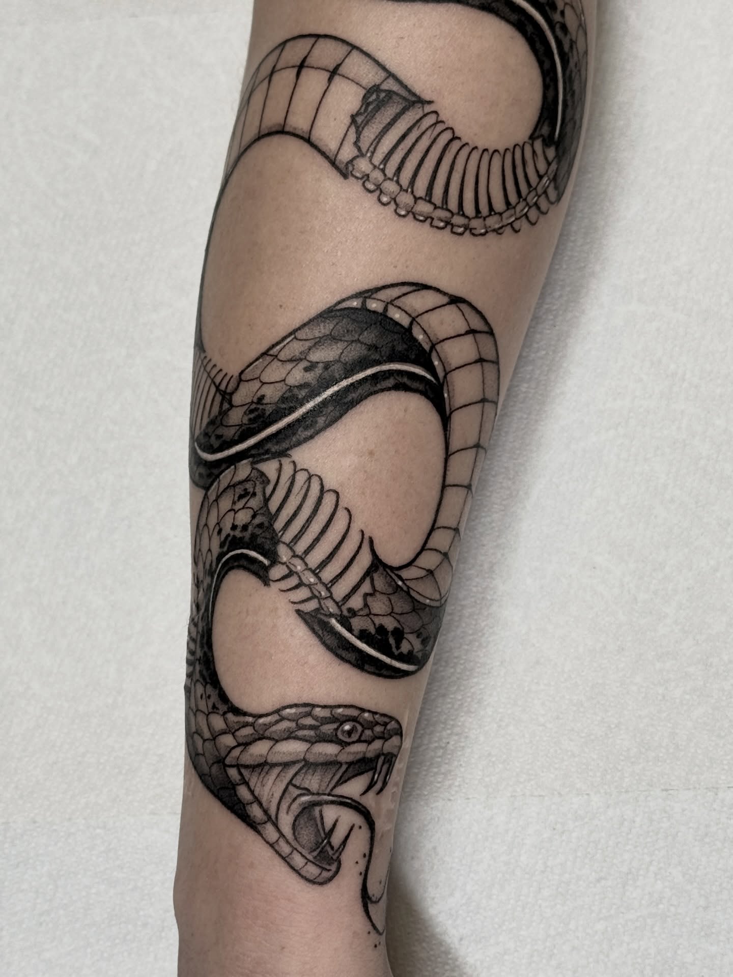 Snake realism tattoo on the forearm by Hannah May, La Mesa, California