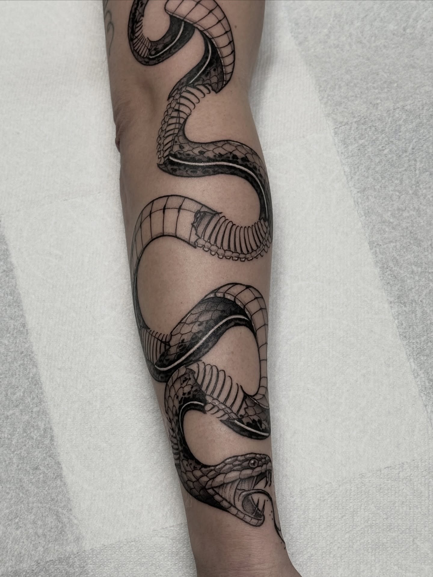 Snake black and grey tattoo on the forearm by Hannah May, La Mesa, California