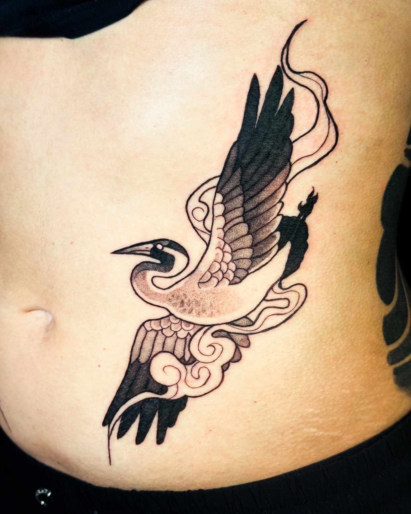 Bird American traditional tattoo on the ribs by Yasemin πΉπ·π¬π§ San Jose based tattoo artist