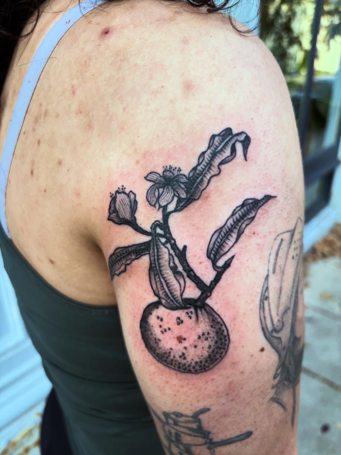Fruit and flower black and grey tattoo on the shoulder by kris noble floyd