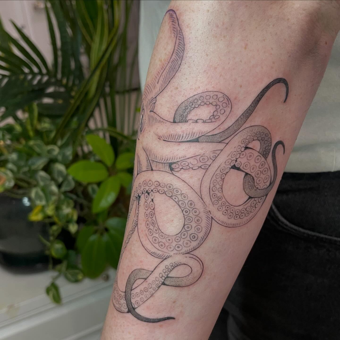 Octopus black and grey tattoo on the forearm by Ally Easter, Berkeley, California