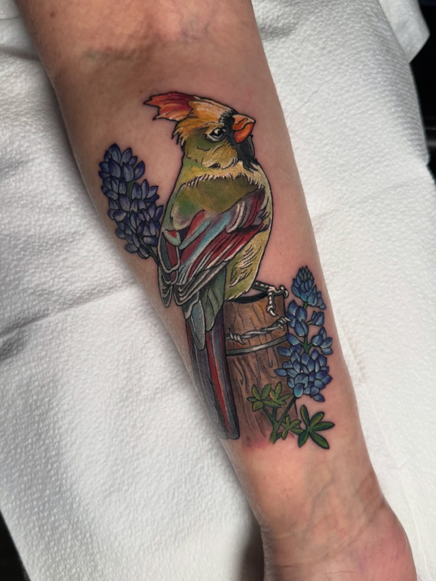 Cardinal bird realism tattoo on the forearm by Sharon Healy