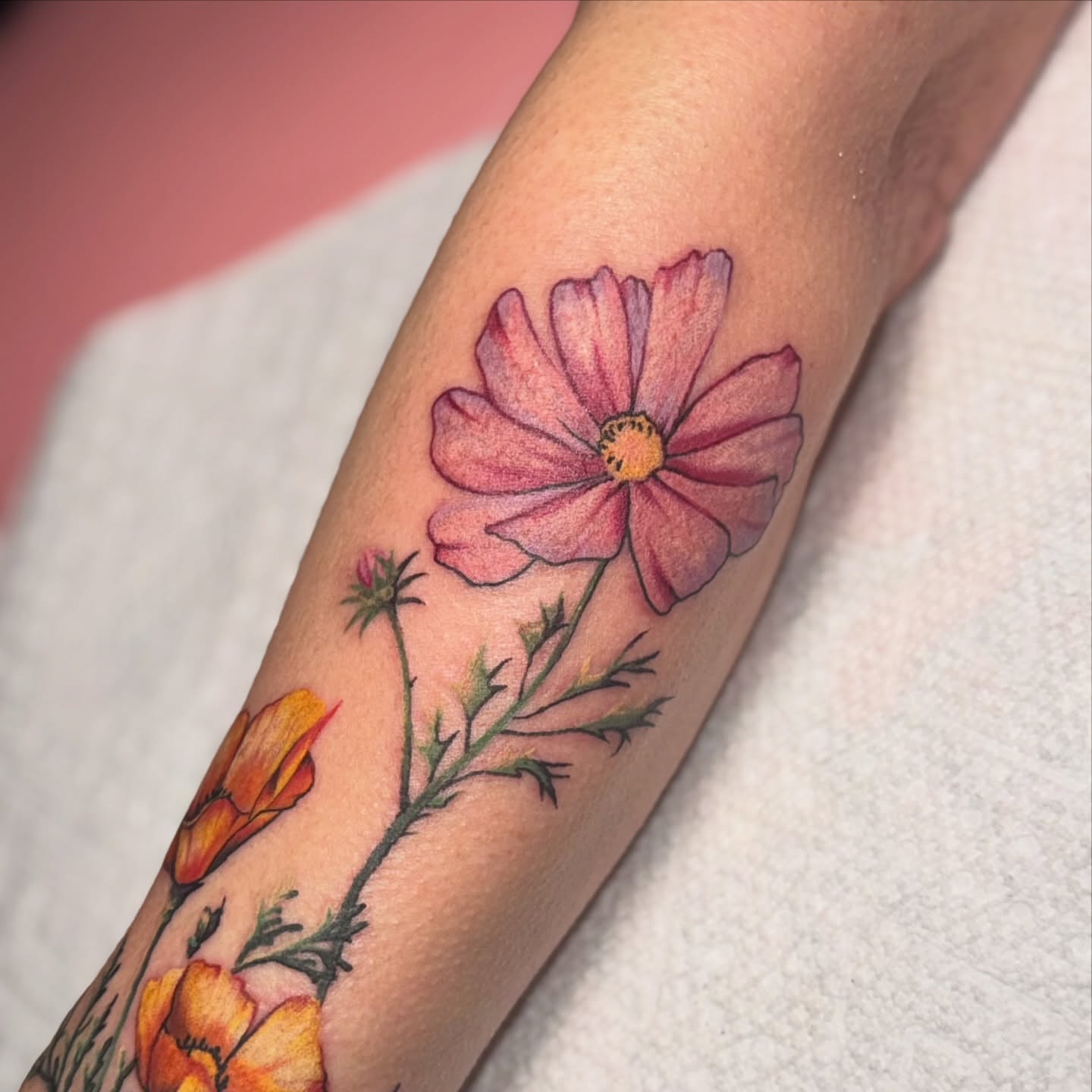 Cosmos flower watercolor tattoo on the forearm by Lyndze Masters