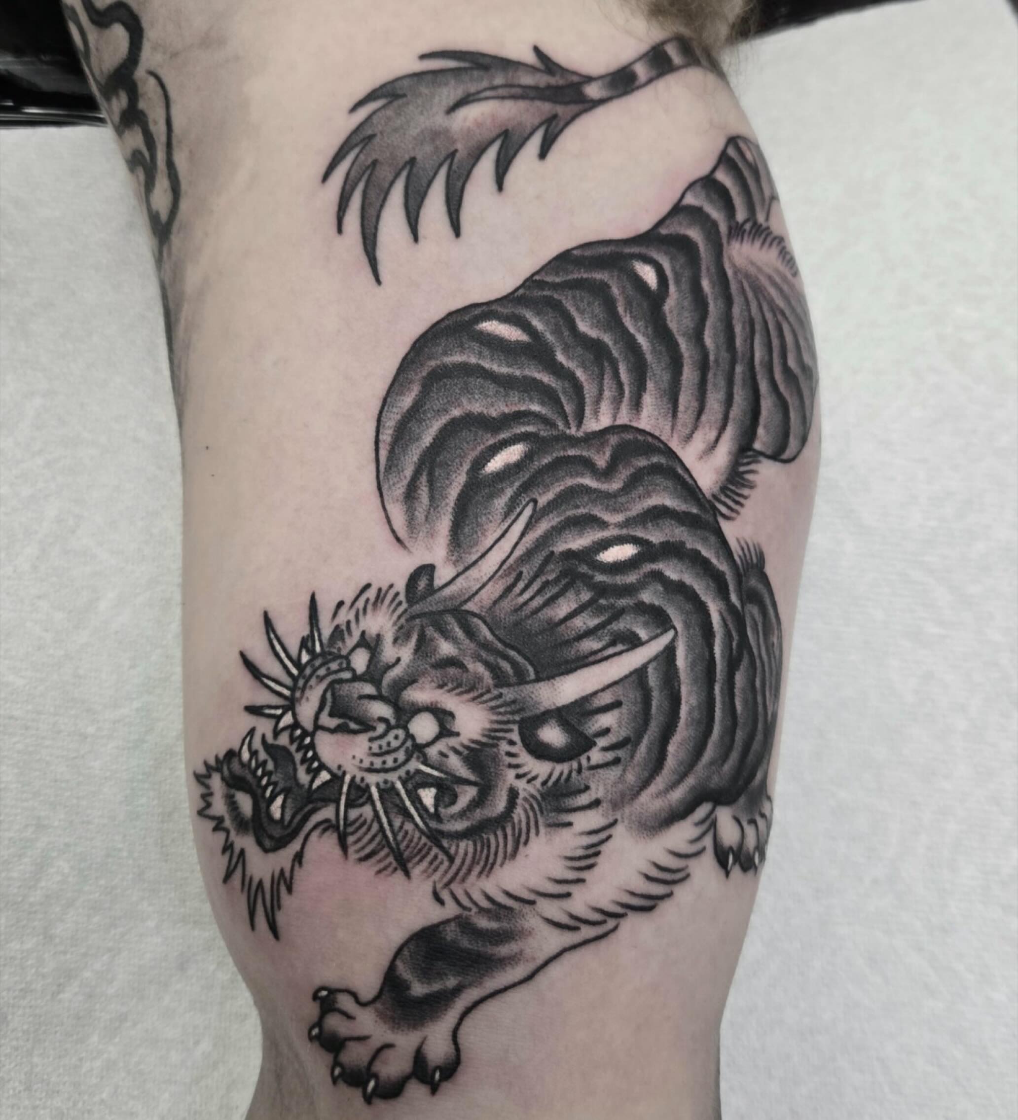 Tiger black and grey tattoo on the forearm by ๐