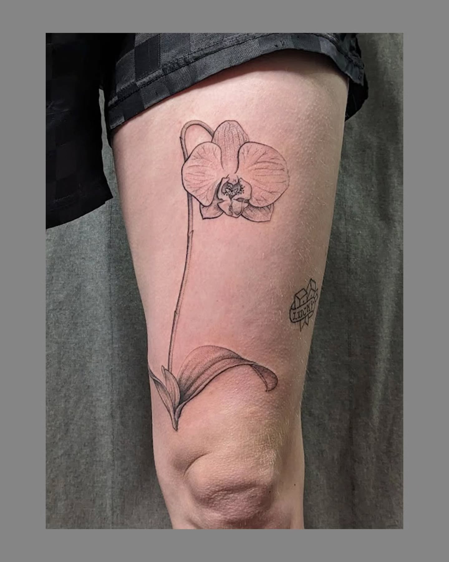 Orchid black and grey tattoo on the thigh by Marria