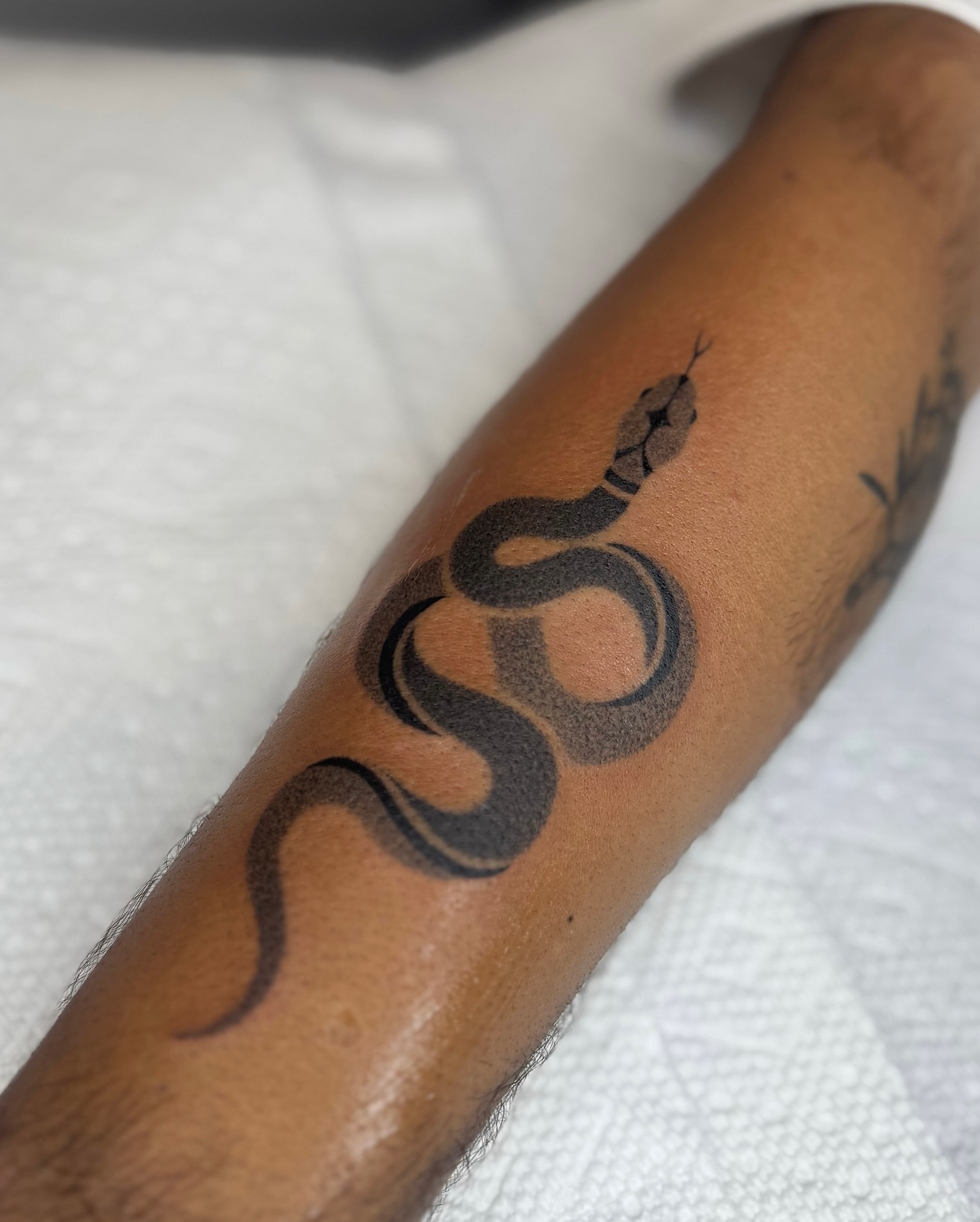 Tattoo by @julesrose.tattoos — black_and_grey