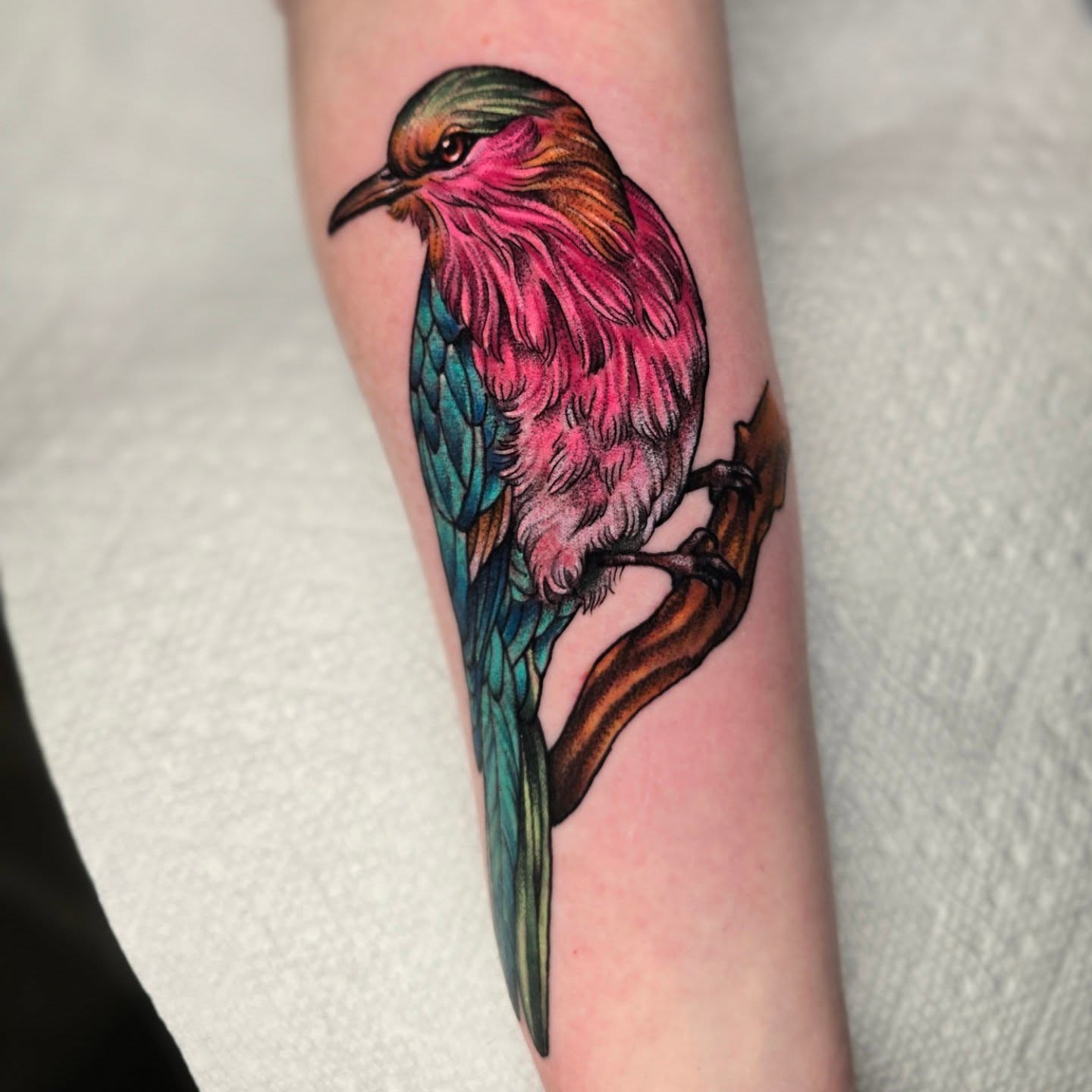 Bird realism tattoo on the forearm by Adison Essig