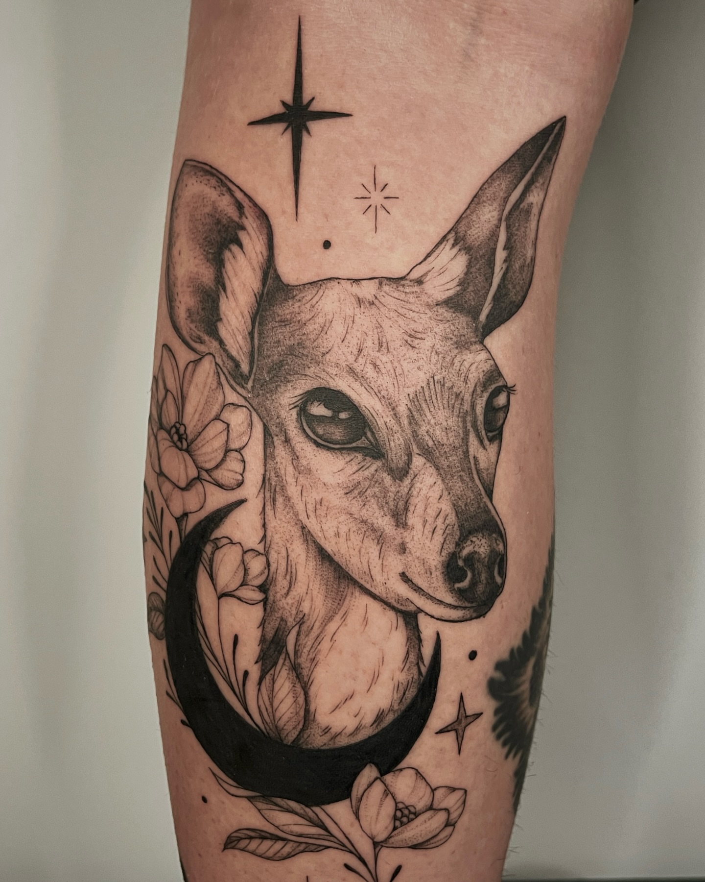 Deer and crescent moon realism tattoo on the forearm by Mikayla Sue