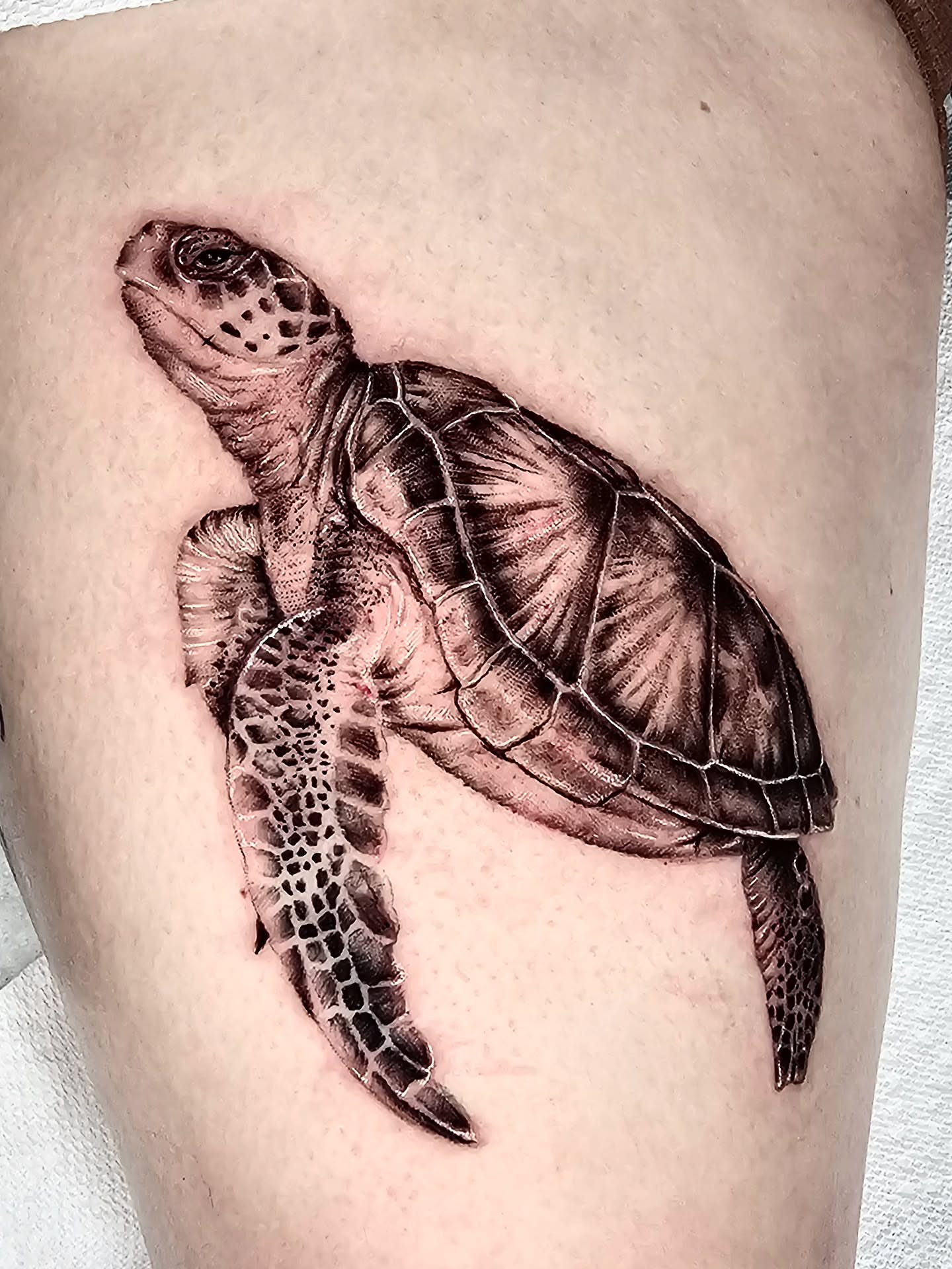 Tattoo by @madelynne_art_ — realism