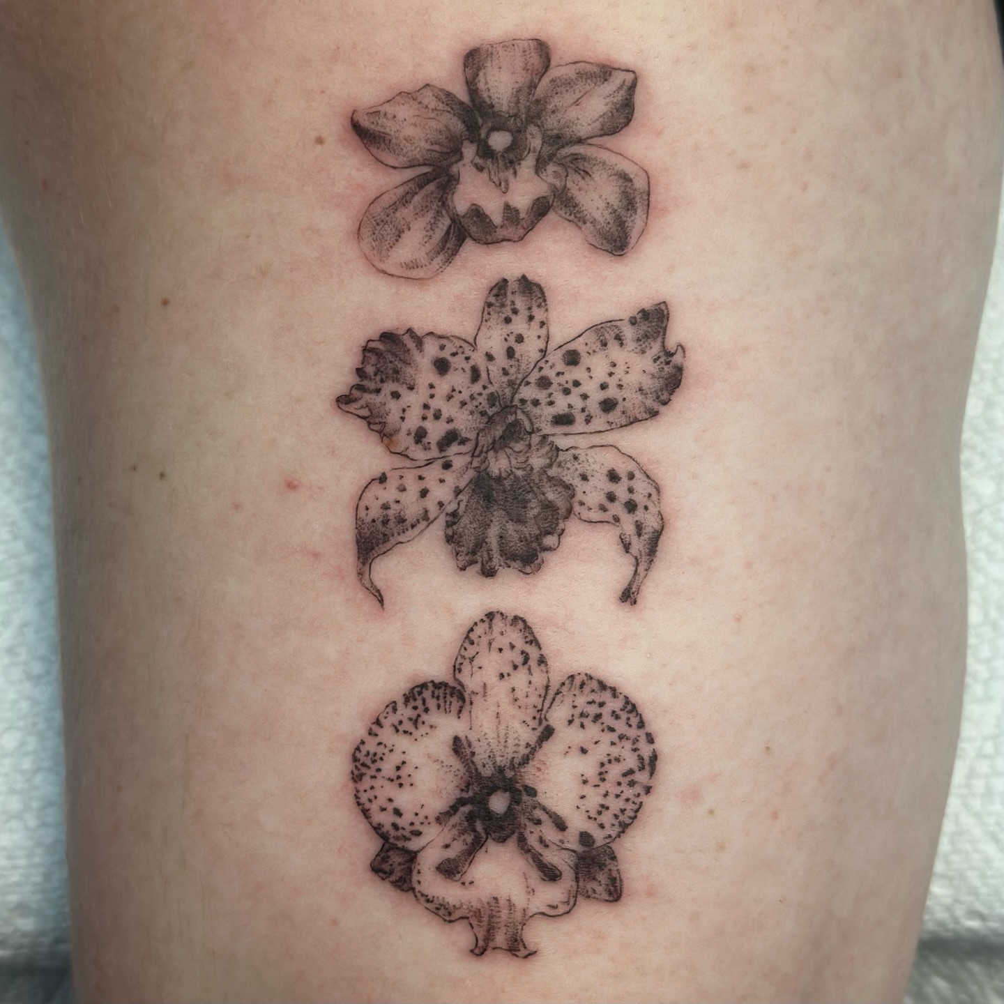 Orchids dotwork tattoo on the thigh by edie ☆ kansas tattoo artist, Lawrence, Kansas