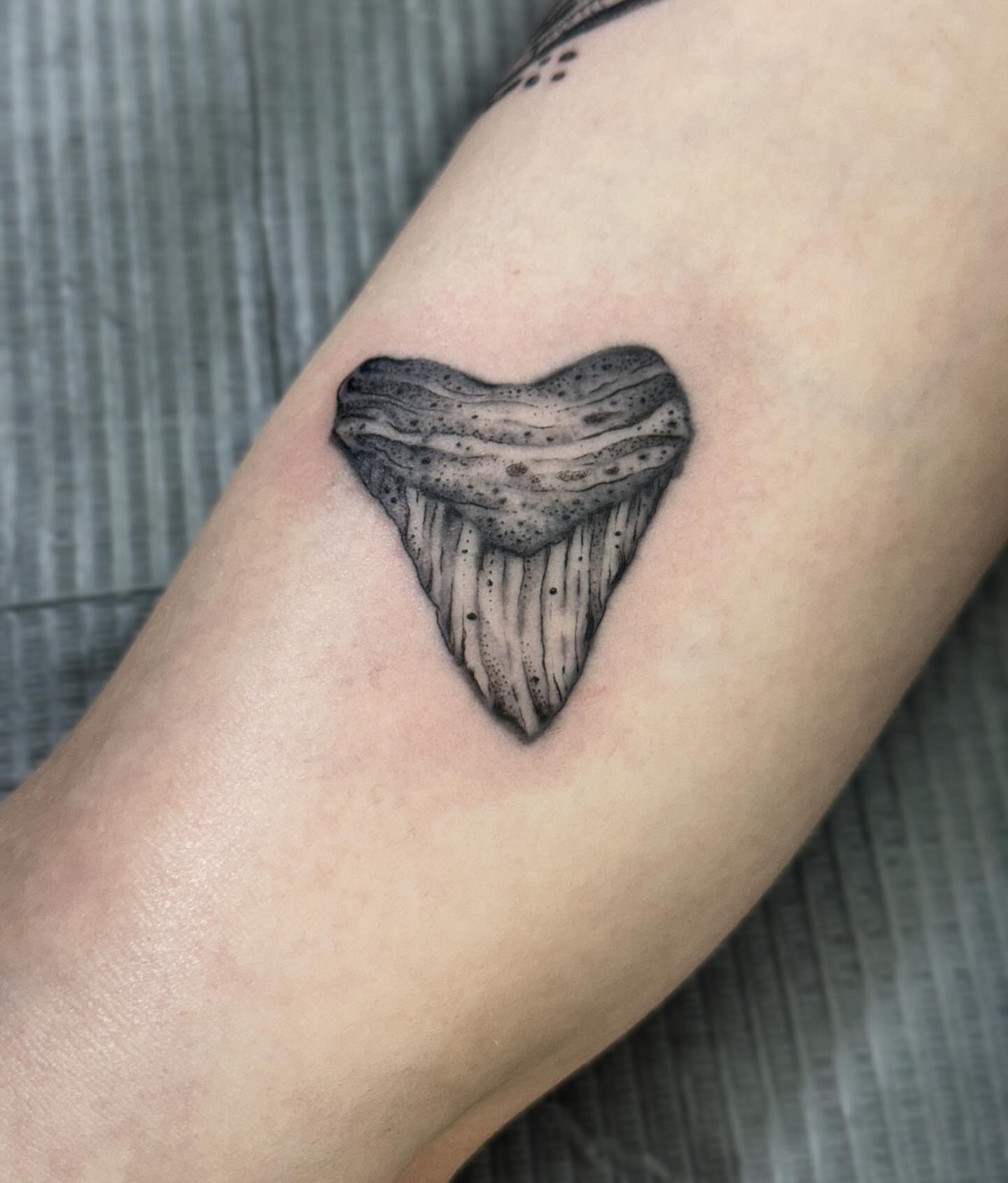 Wood grain dotwork tattoo on the forearm by Writhe Grey