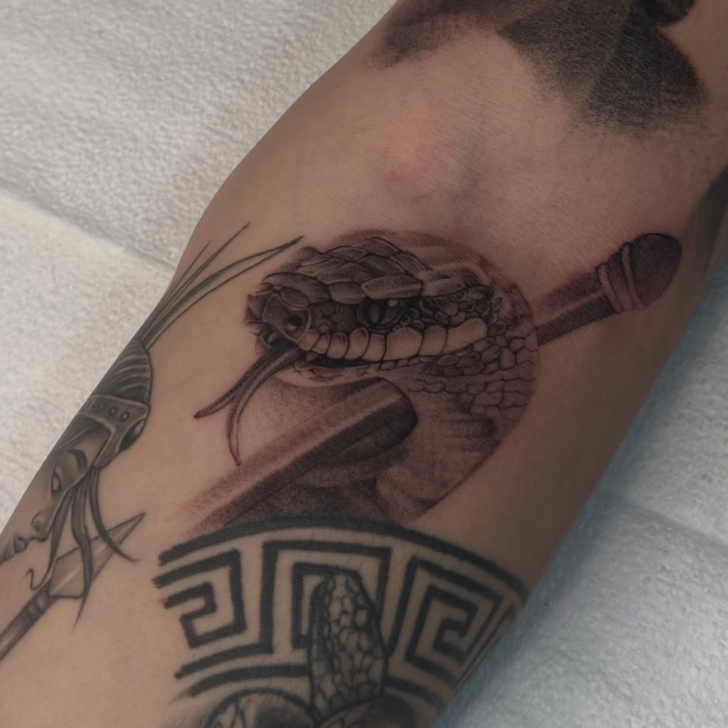 Snake realism tattoo on the forearm by Joe Cruz
