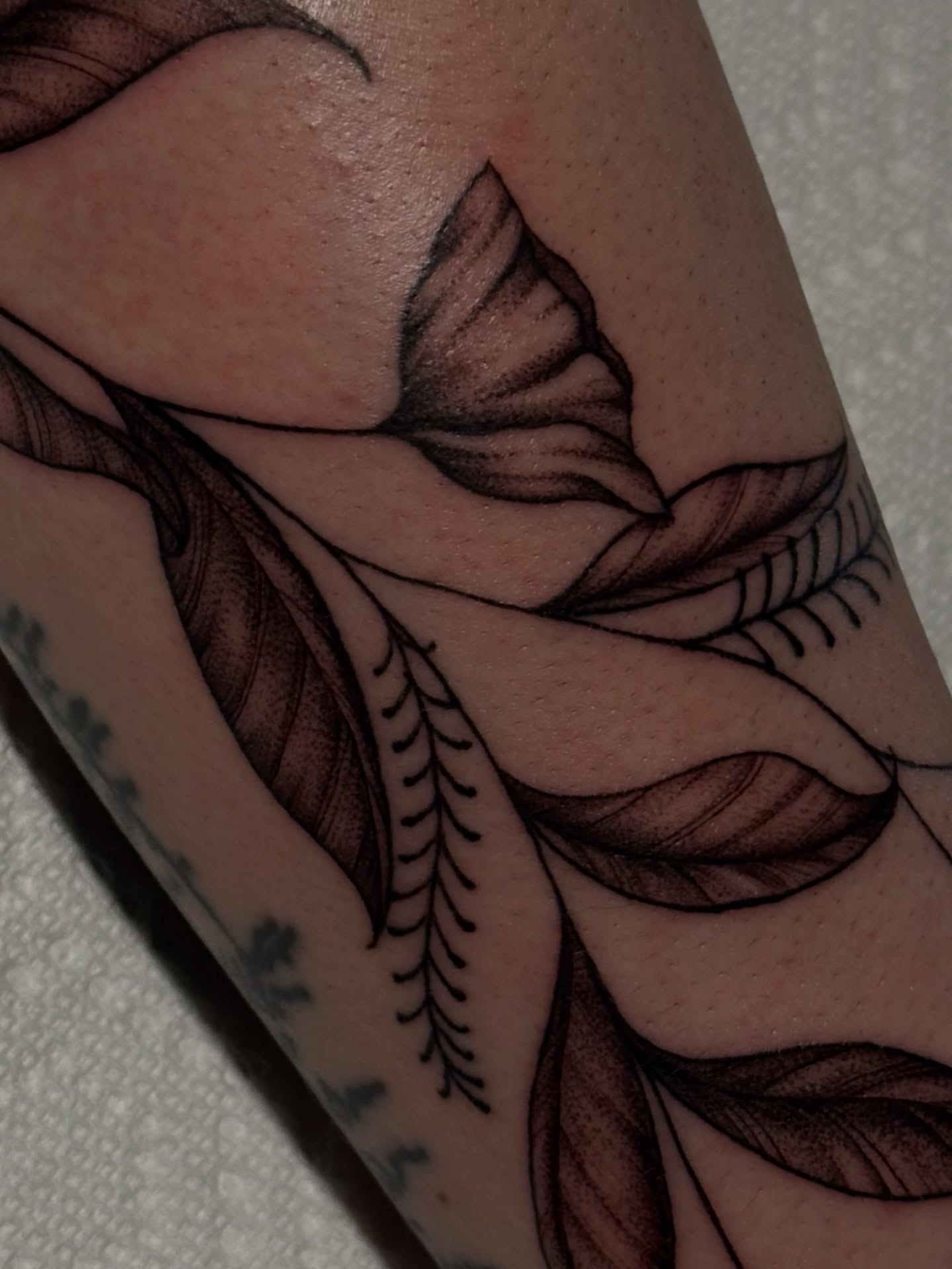 Tattoo by @dogtoothtattoos — black_and_grey