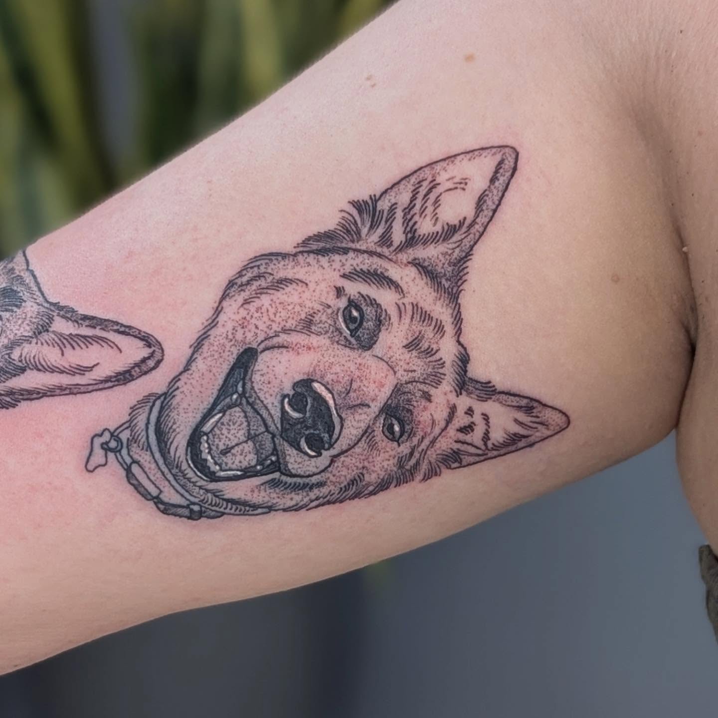 Tattoo by @bearclawtattoo — dotwork