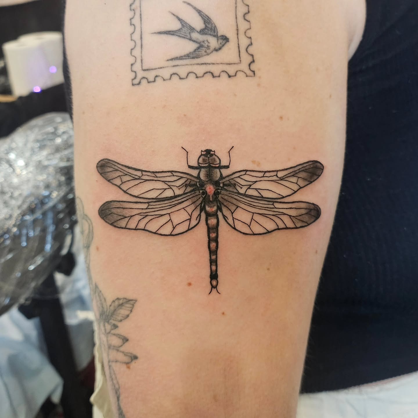 Dragonfly black and grey tattoo on the forearm by Gray