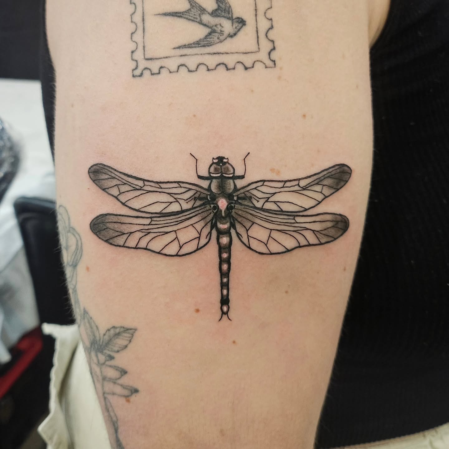 Dragonfly black and grey tattoo on the forearm by Gray
